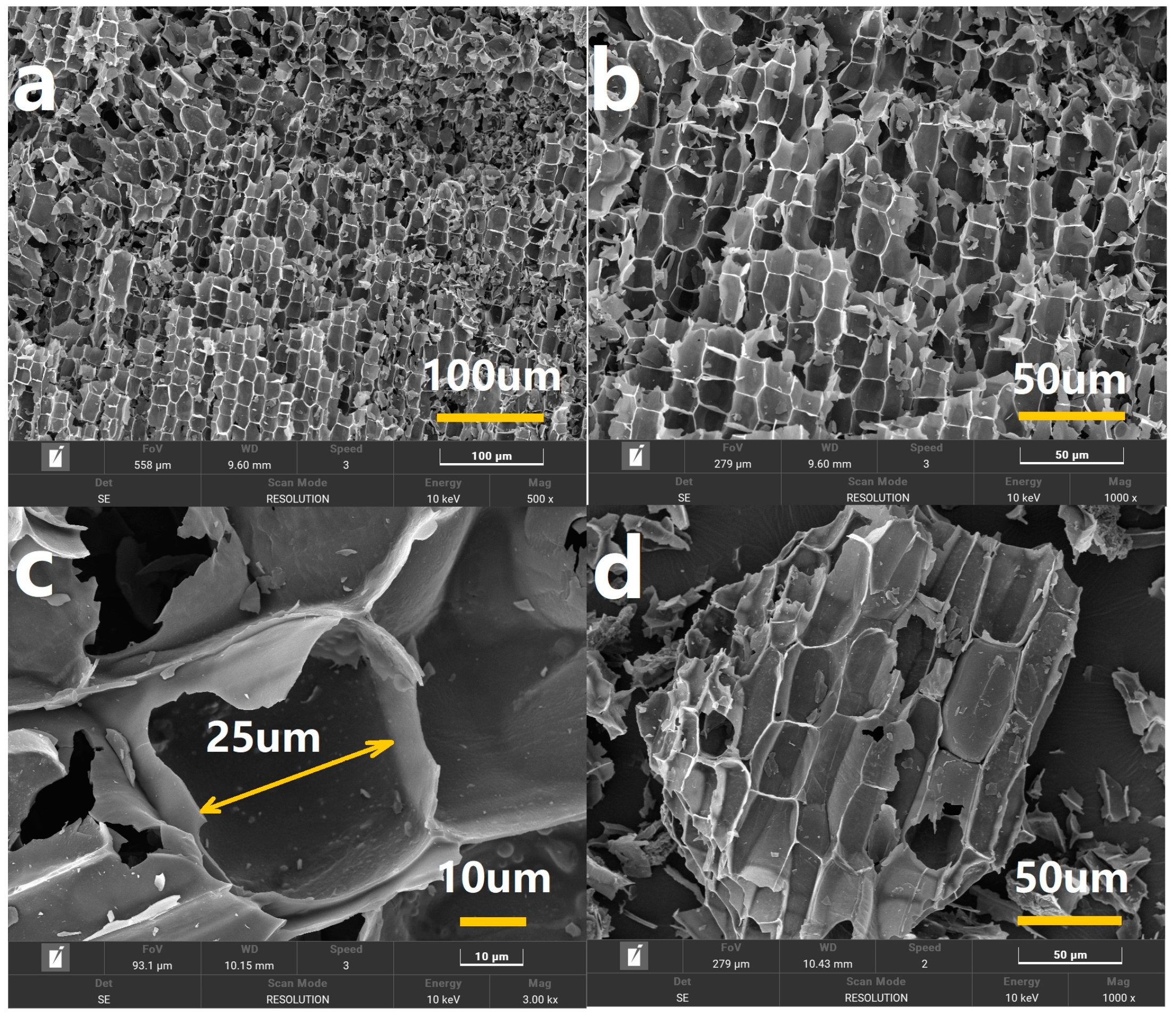 Coptis Root-Derived Hierarchical Carbon-Supported Ag