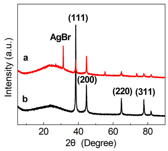 Coptis Root-Derived Hierarchical Carbon-Supported Ag