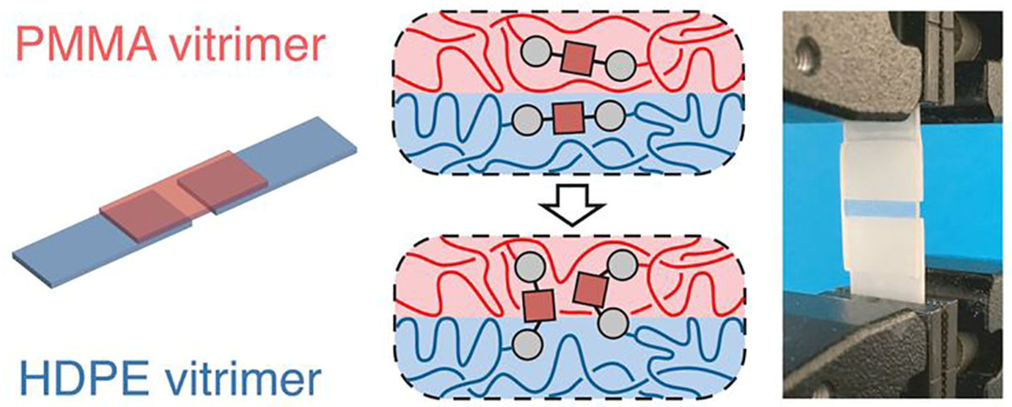 Molecules 30 00569 g007