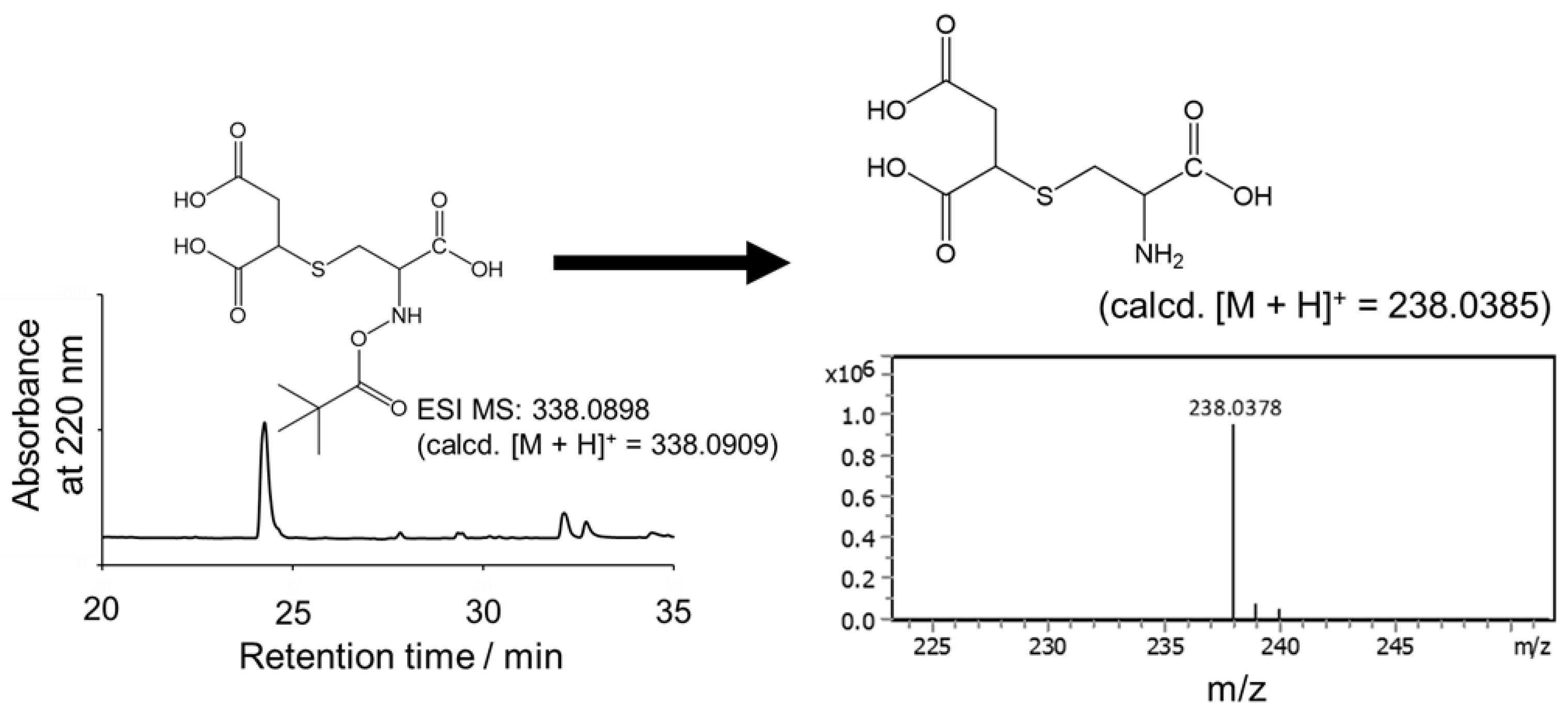 Molecules 30 00571 g004
