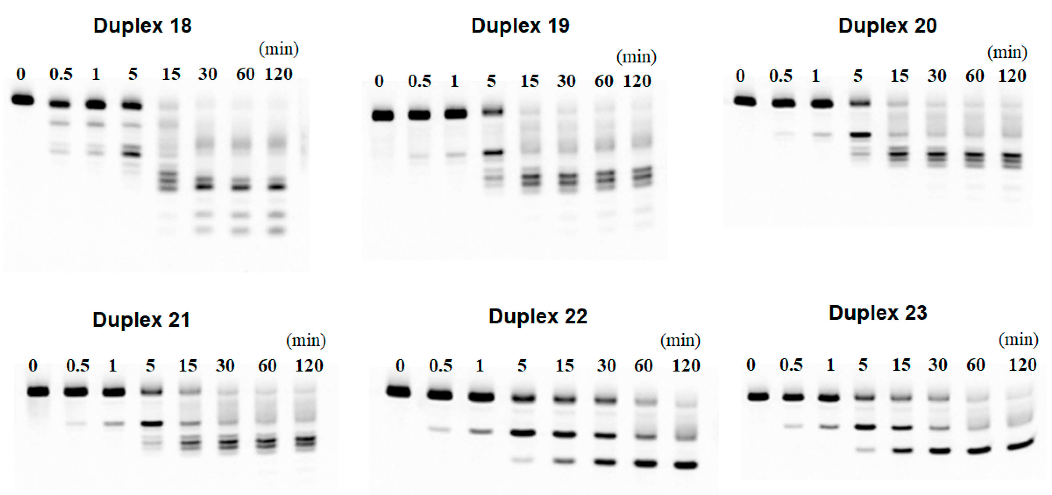 Molecules 30 00581 g003
