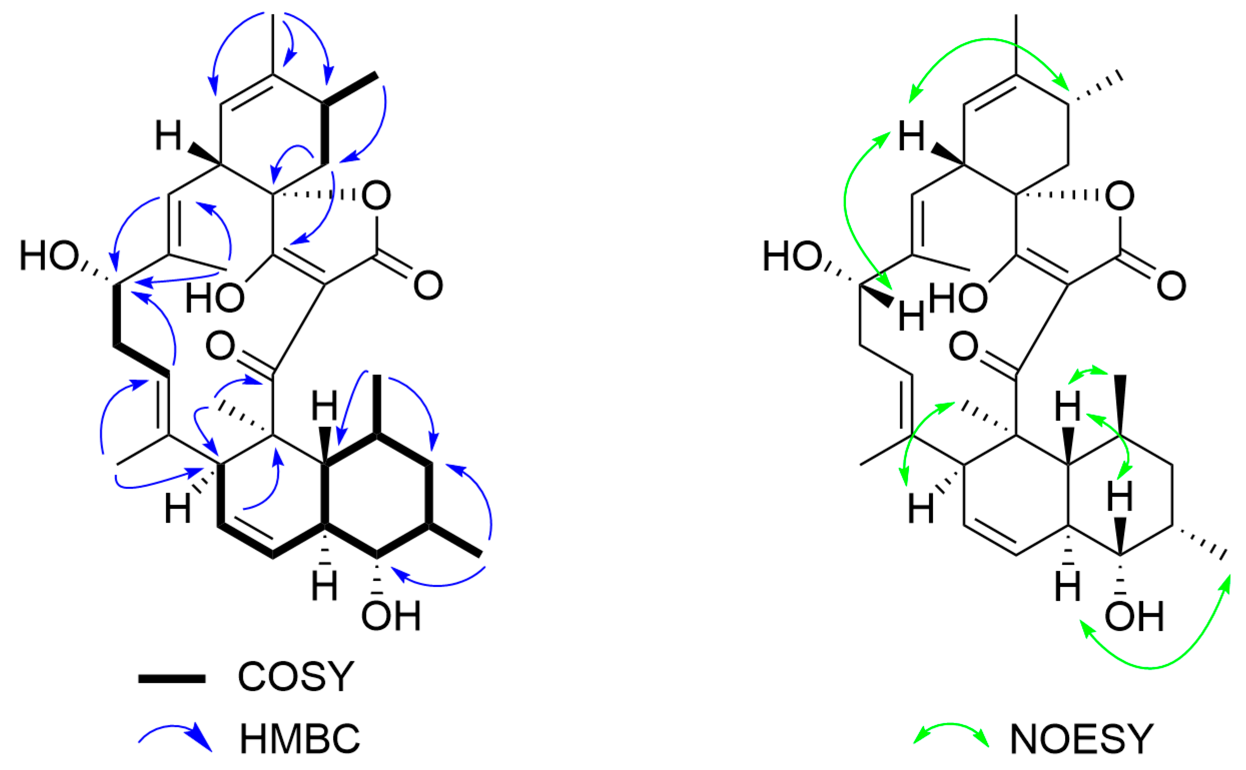 Antimicrobial Lobophorins from Endophytic Strain Antimicrobial Lobophorins from Endophytic Strain