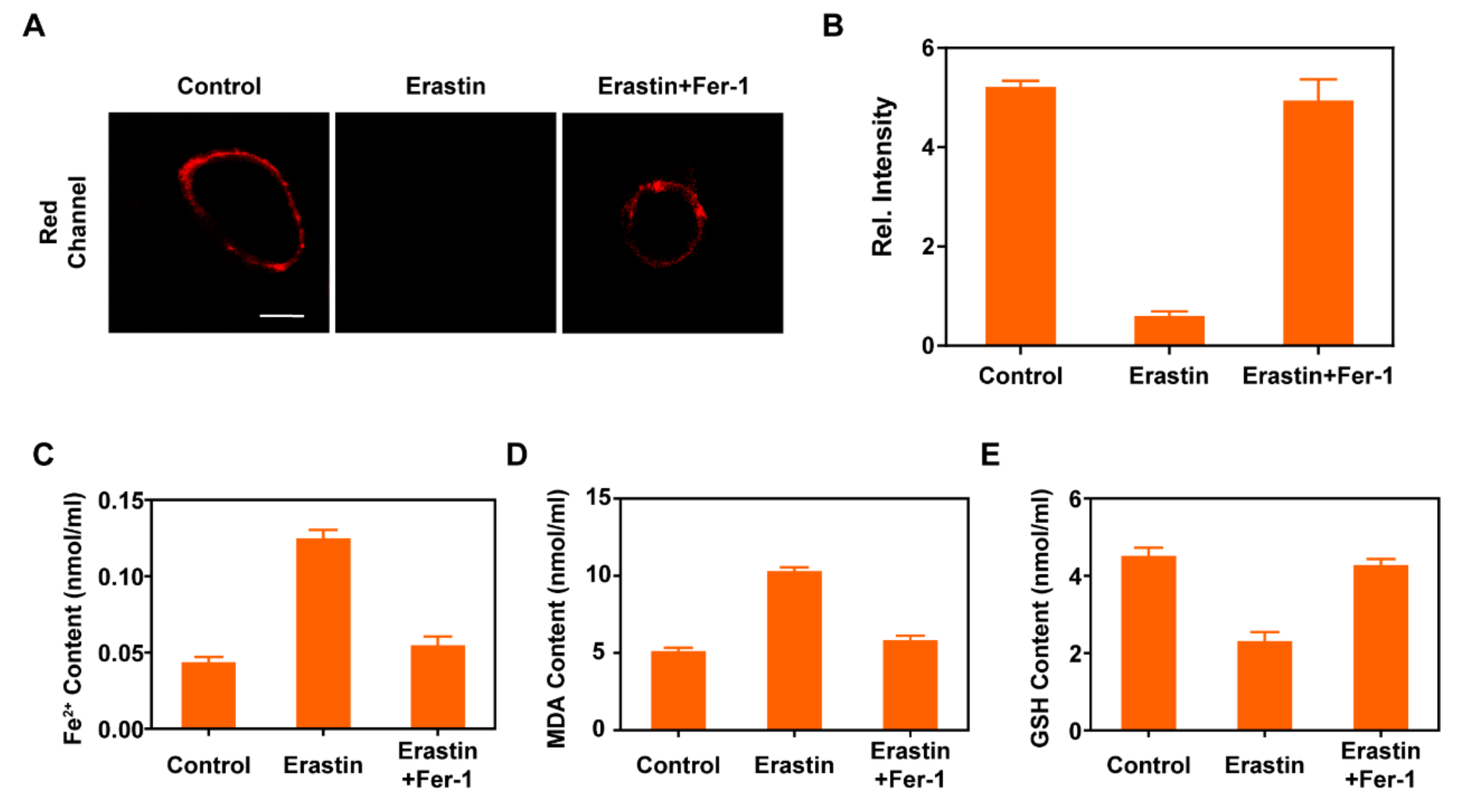 Molecules 30 00592 g002
