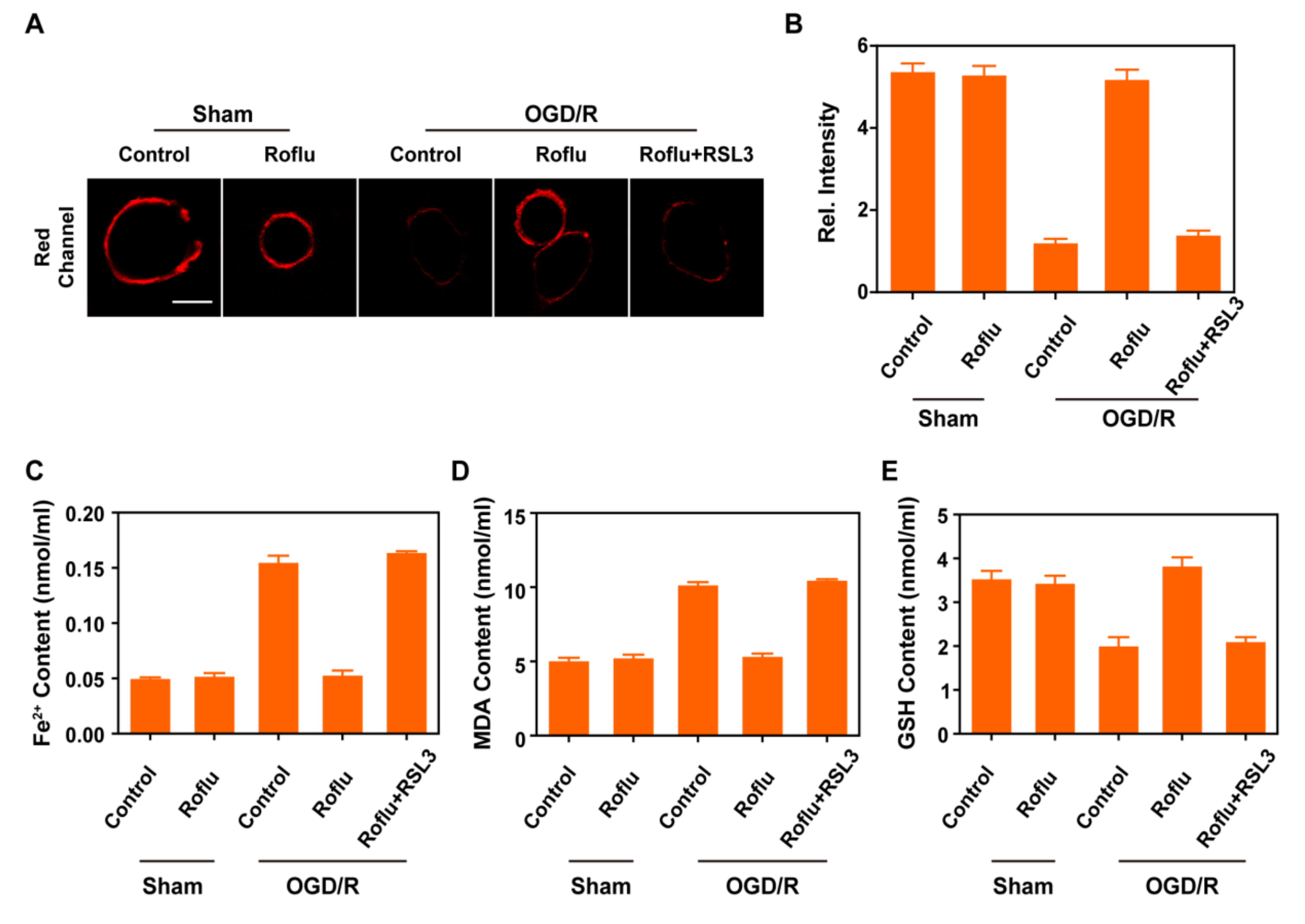 Molecules 30 00592 g003