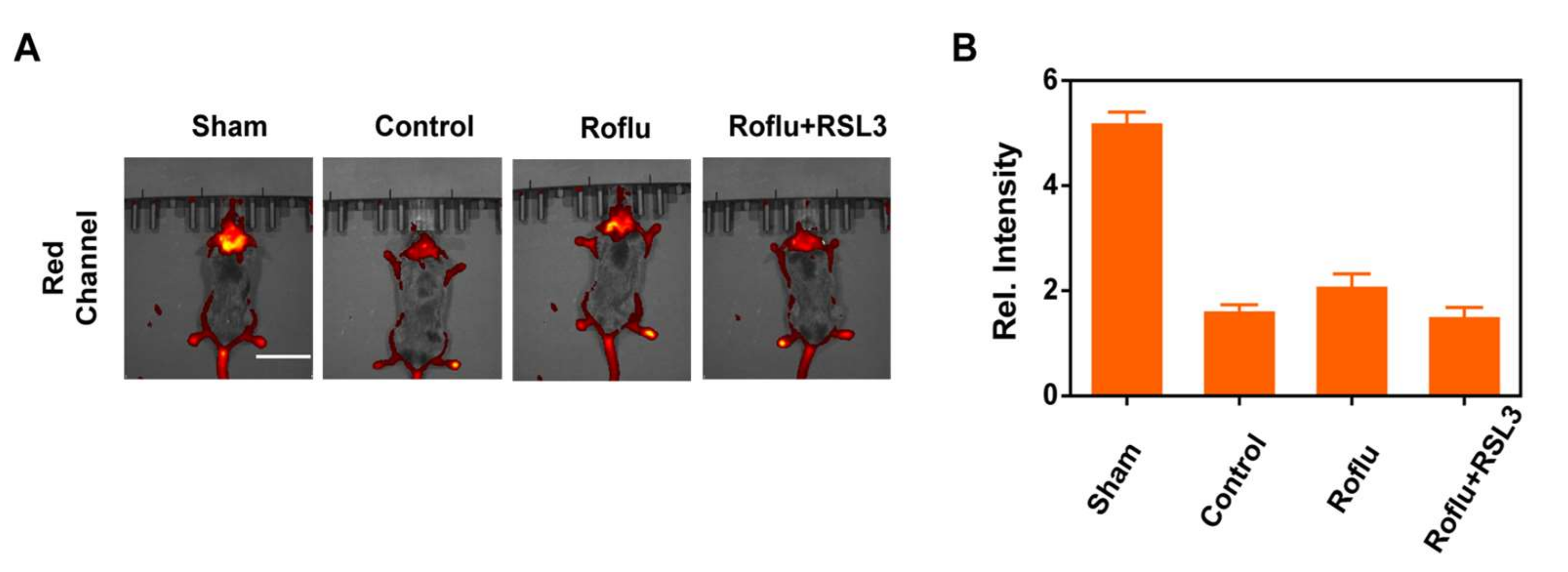 Molecules 30 00592 g004