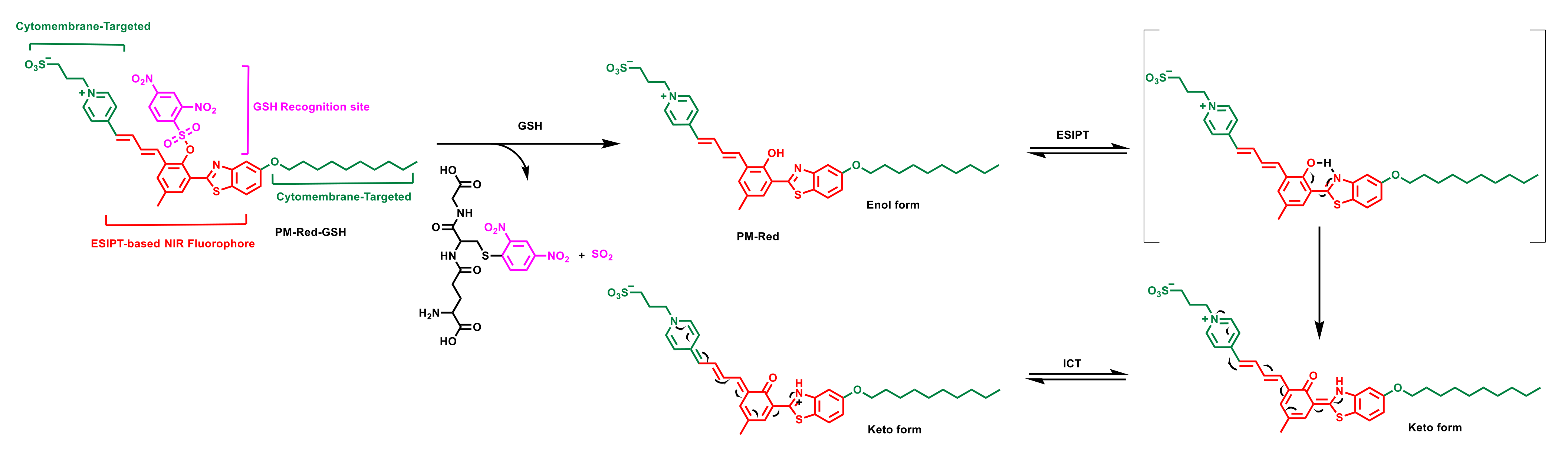 Molecules 30 00592 sch001