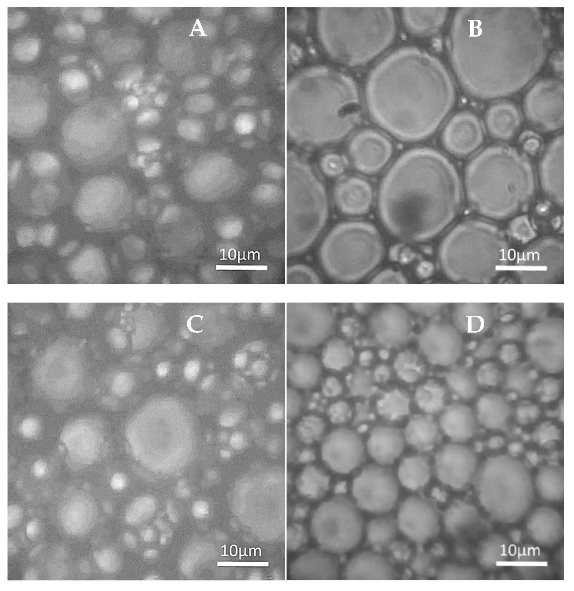 Molecules 30 00595 g003