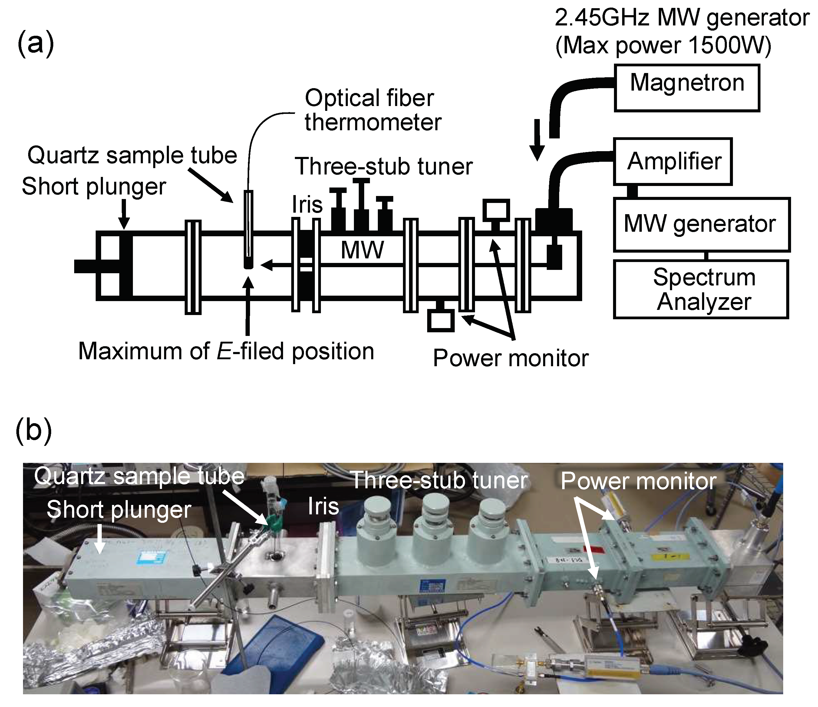 Molecules 30 00598 g005