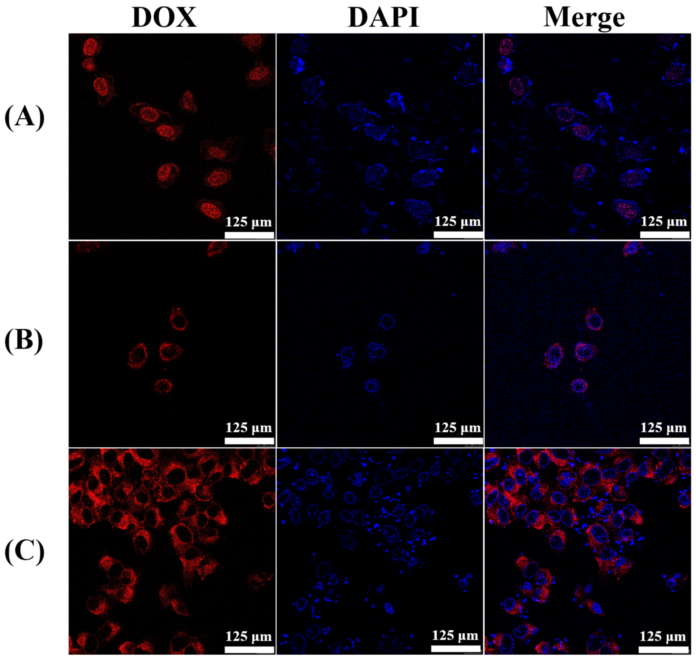 Molecules 30 00599 g004