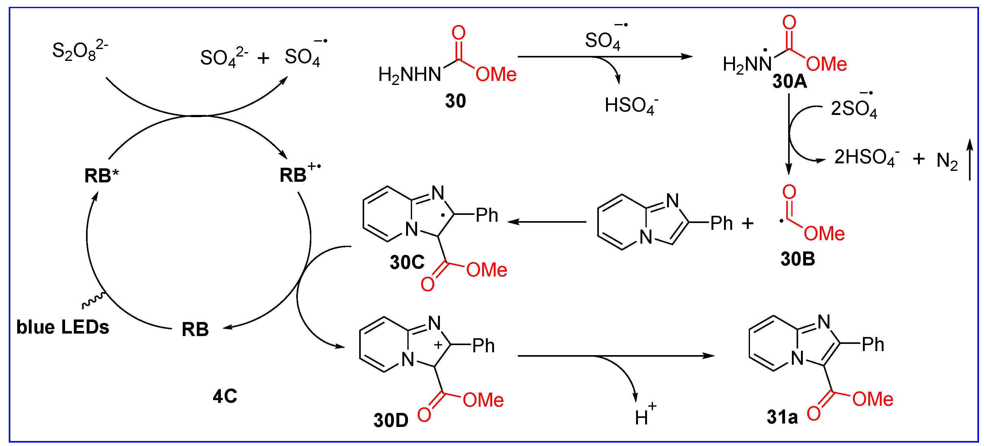 Molecules 30 00607 sch018
