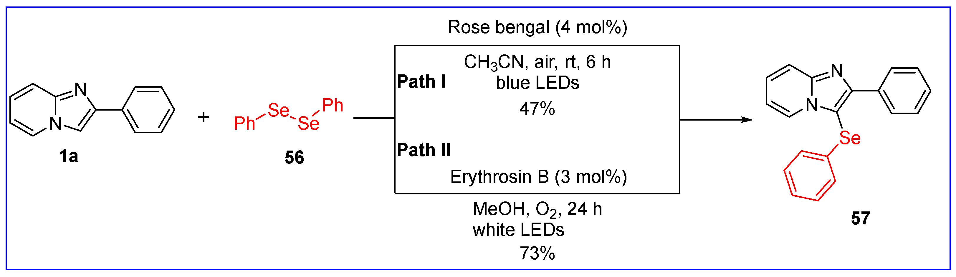 Molecules 30 00607 sch031