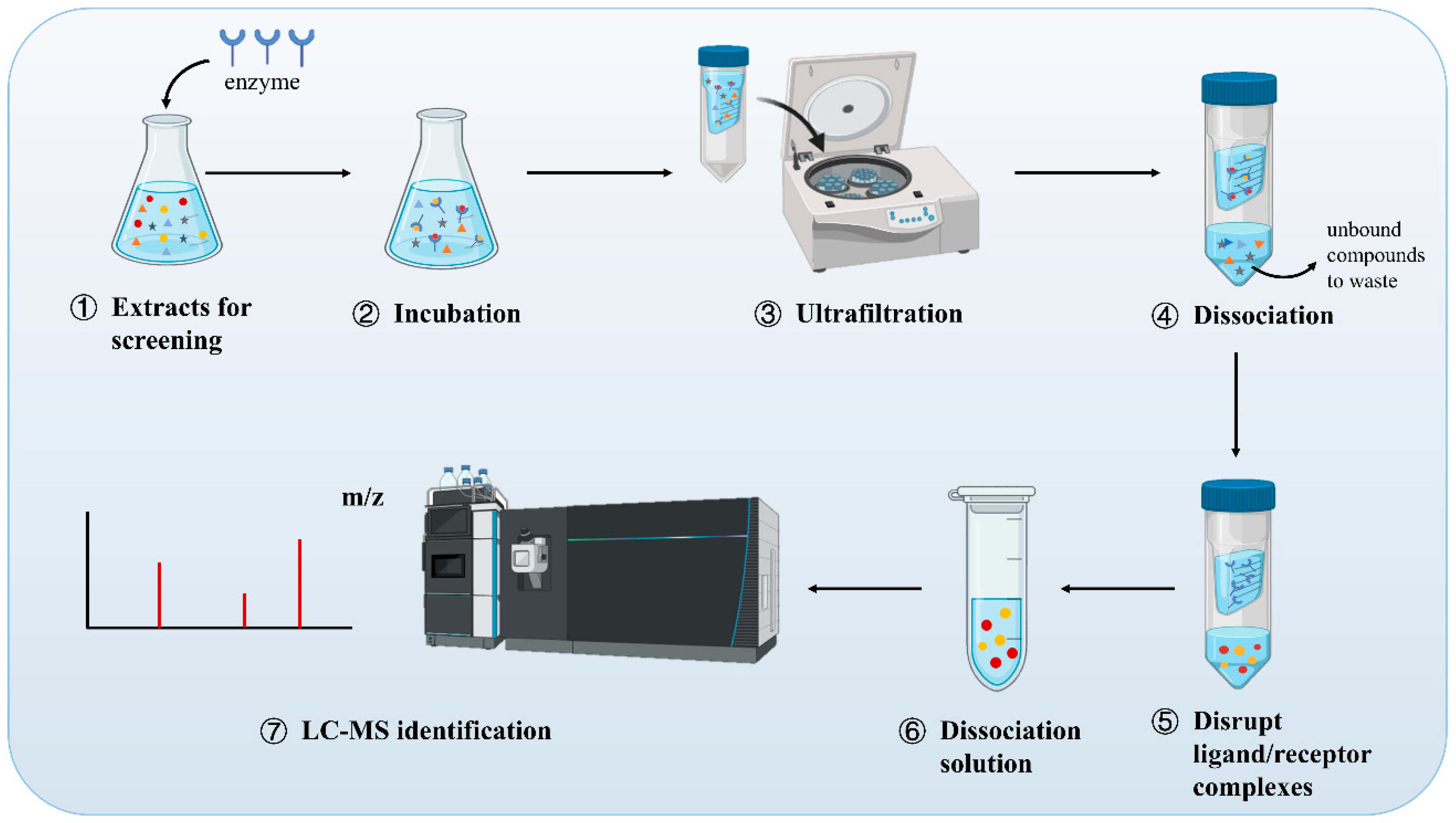 Molecules 30 00608 g001