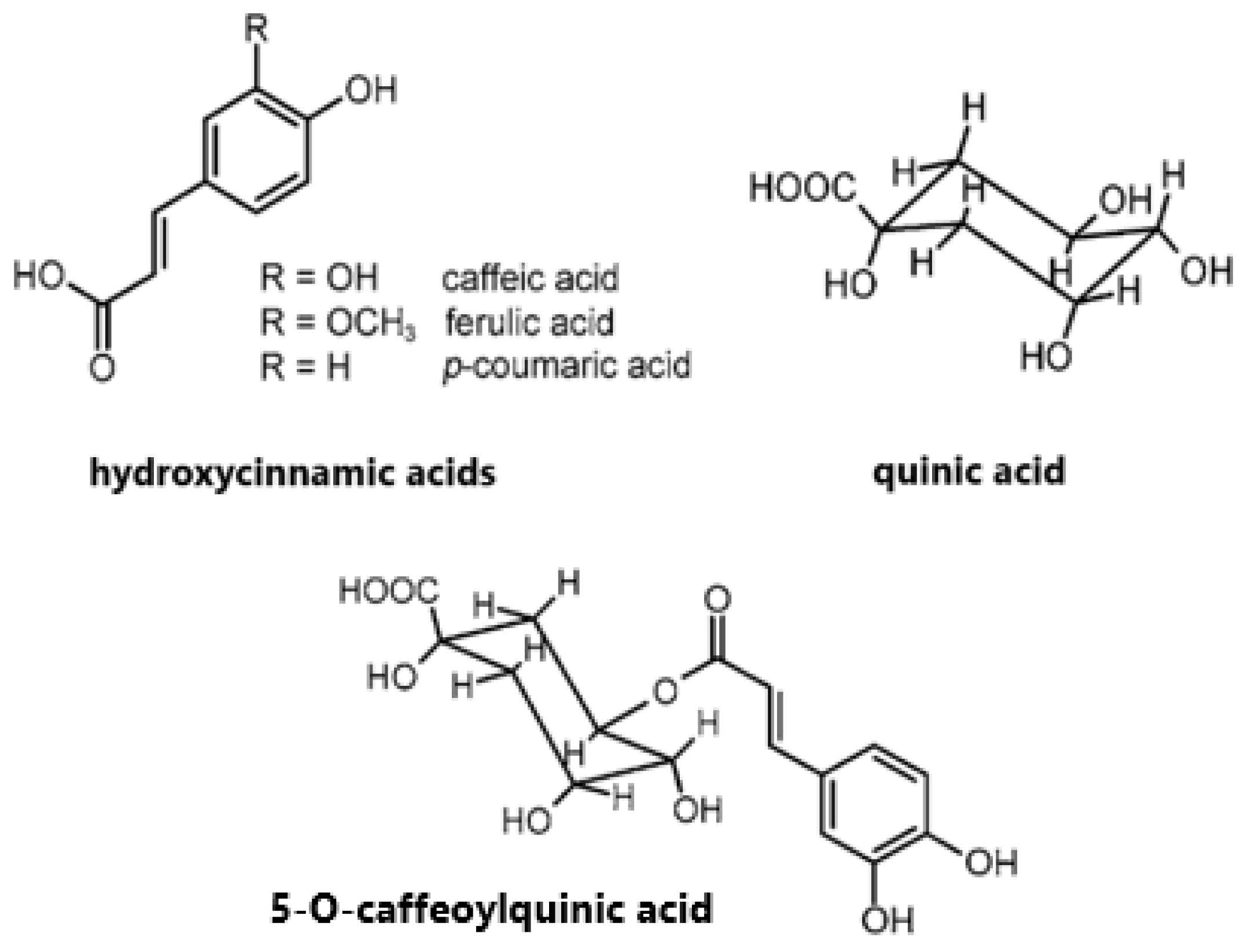 Molecules 30 00613 g001