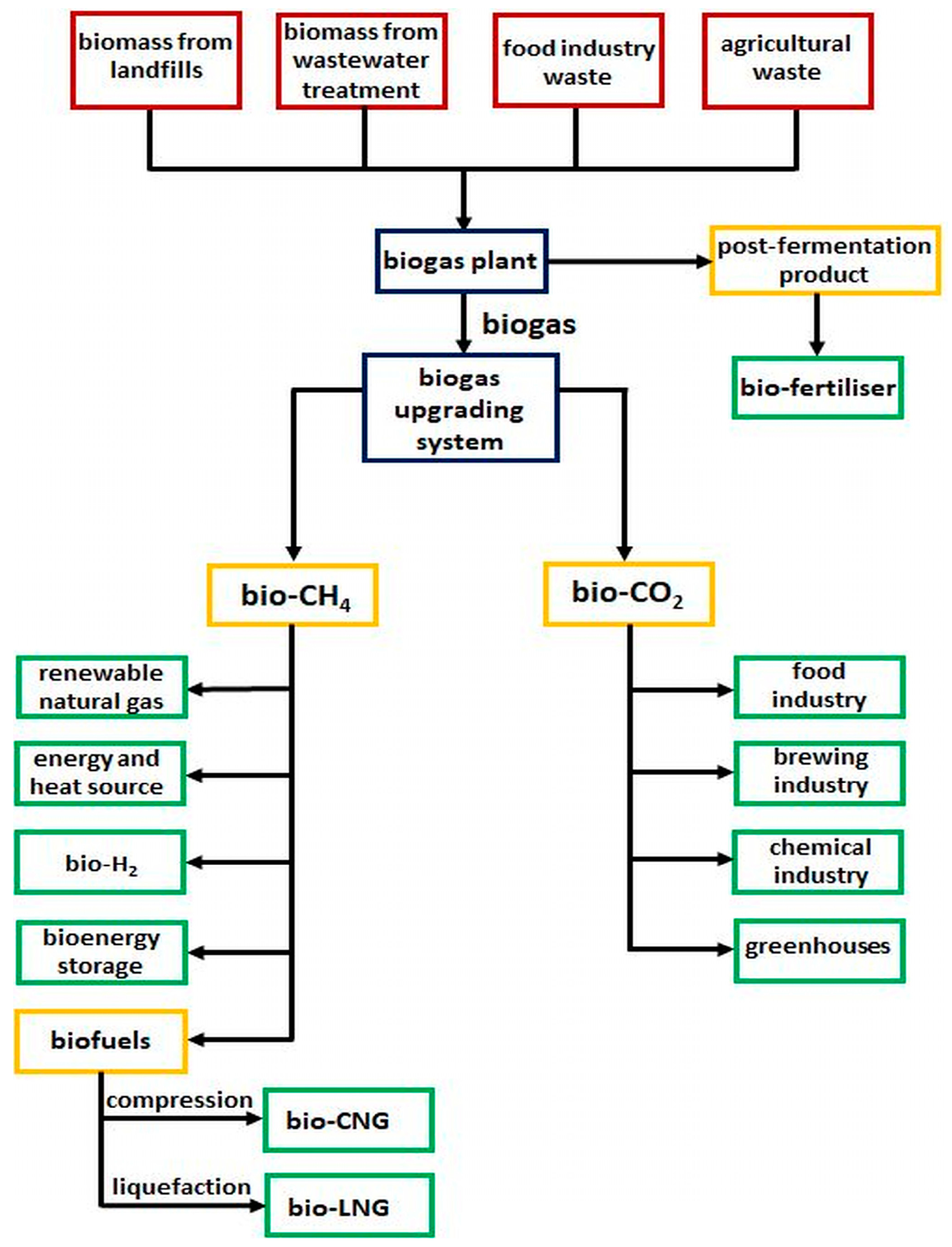 Molecules 30 00614 g001