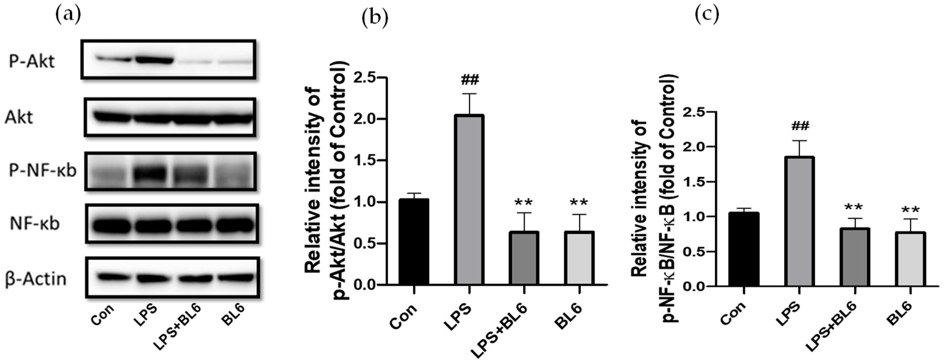 Molecules 30 00620 g006