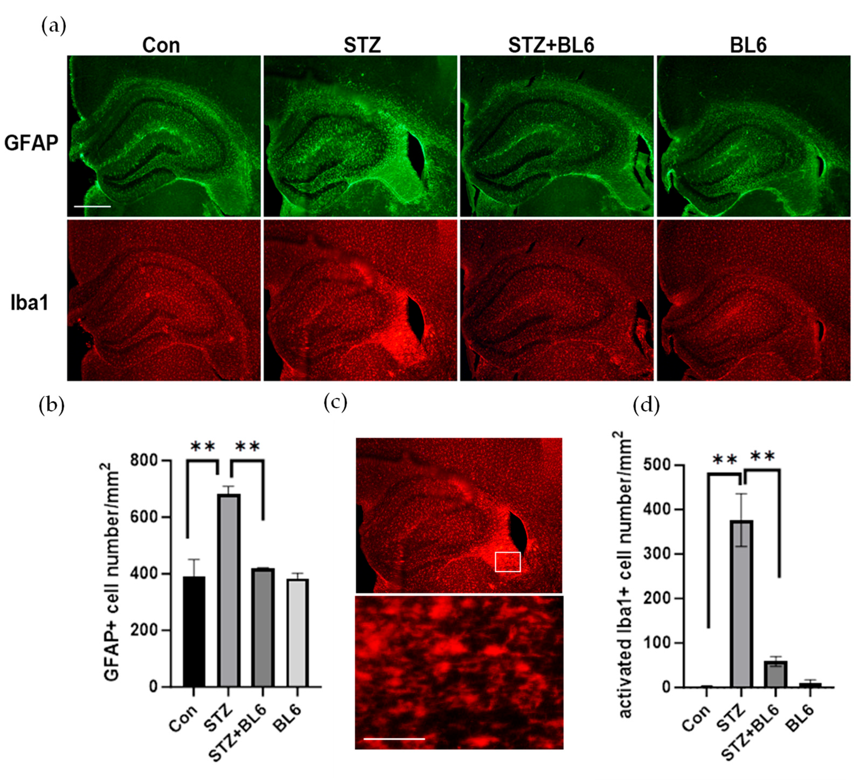 Molecules 30 00620 g009
