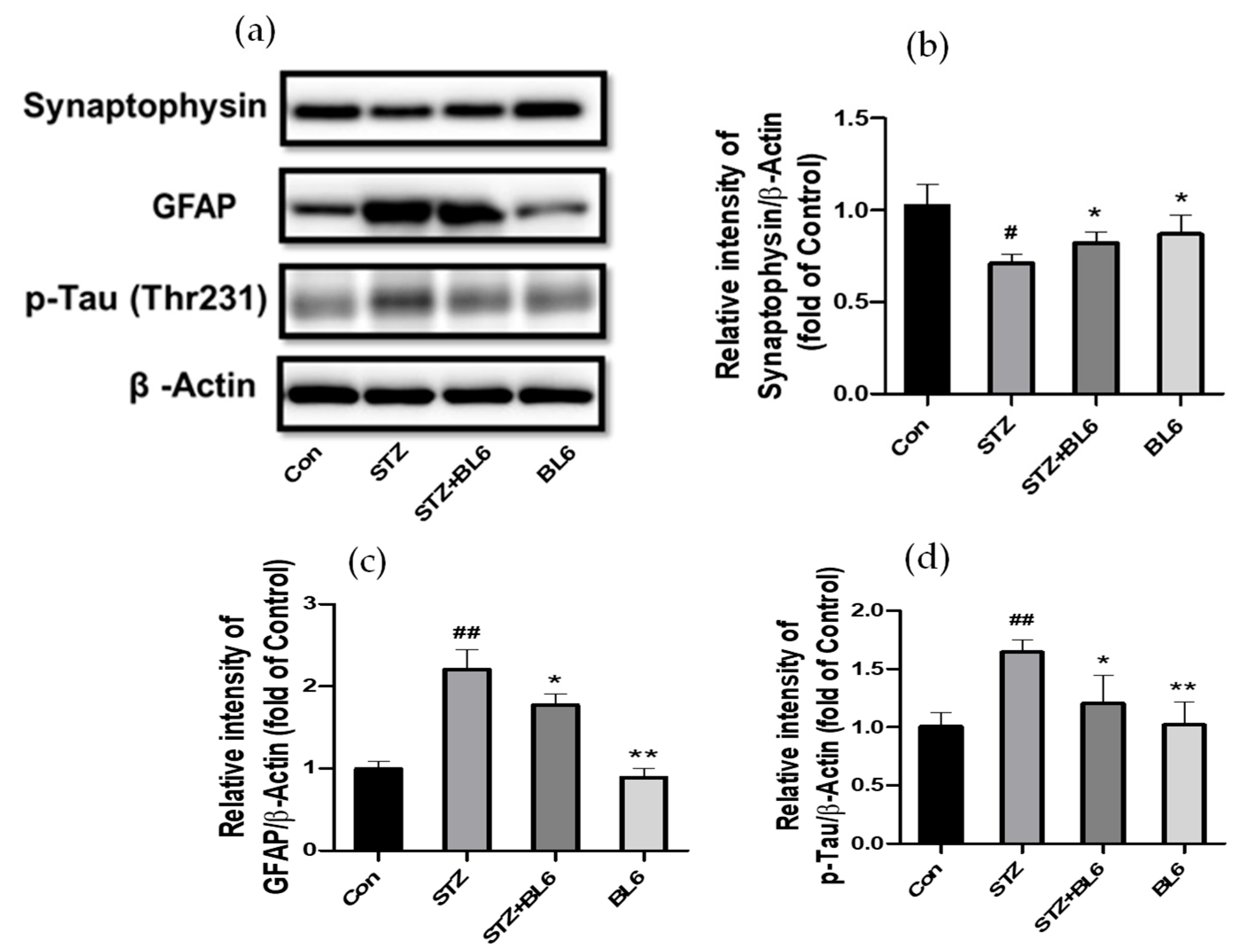Molecules 30 00620 g010