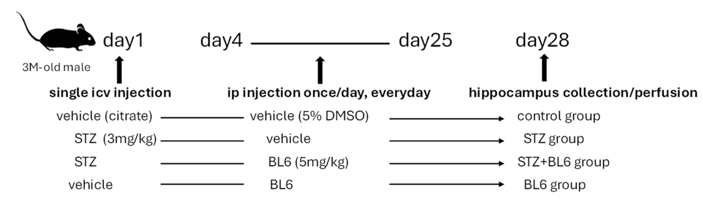 Molecules 30 00620 g011