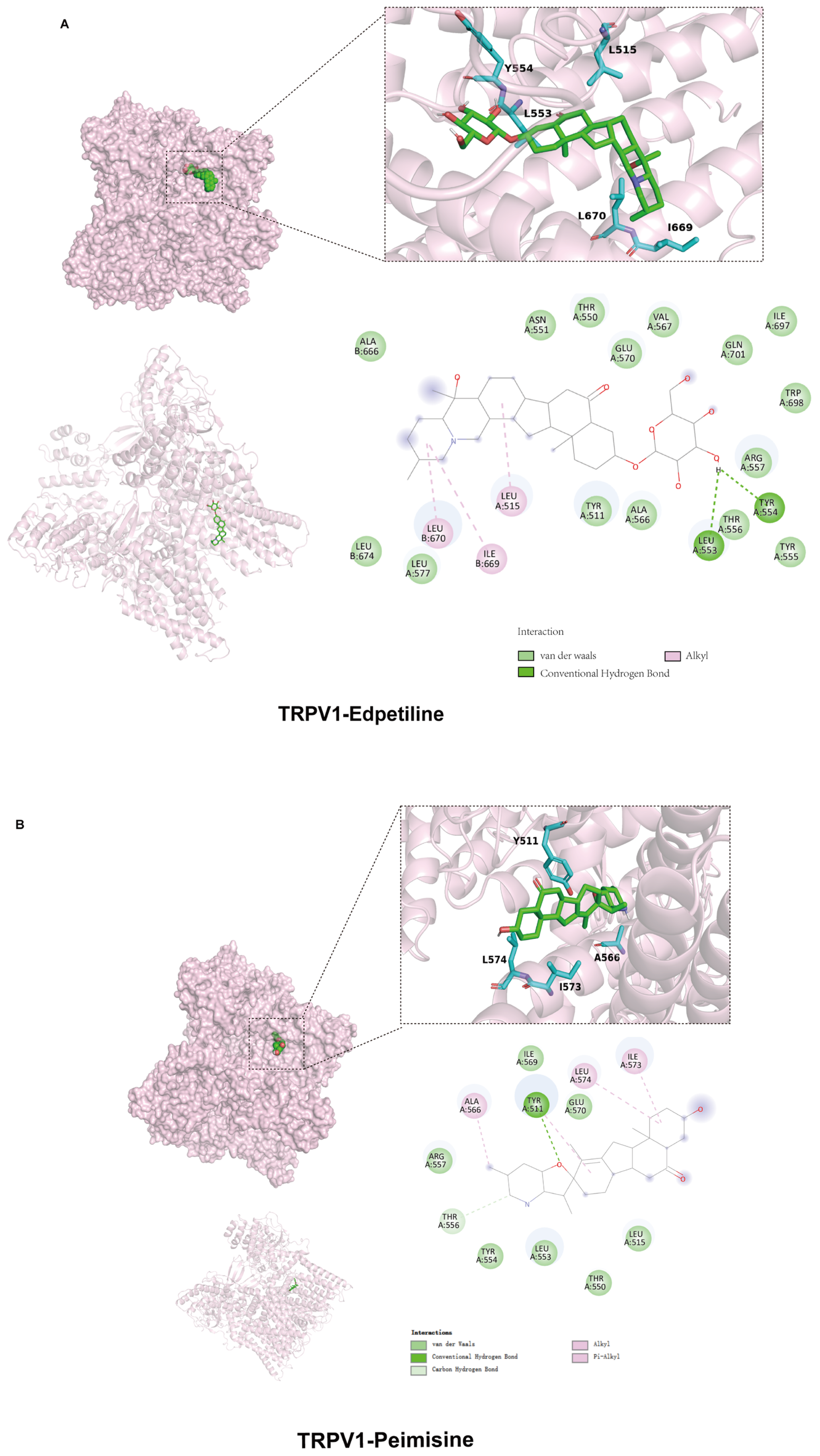 Molecules 30 00623 g005