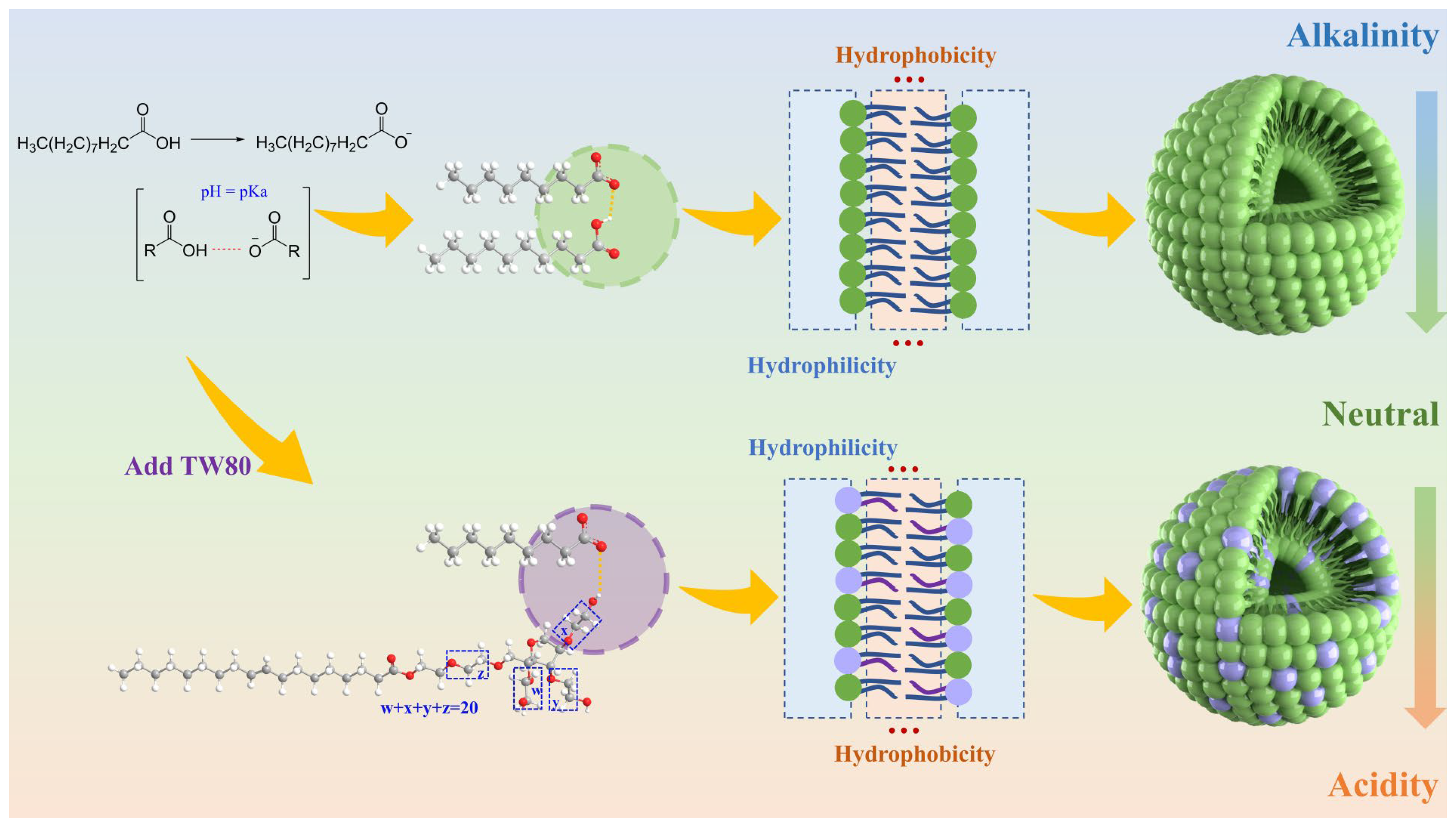 Molecules 30 00624 g001 Molecules 30 00624 g001
