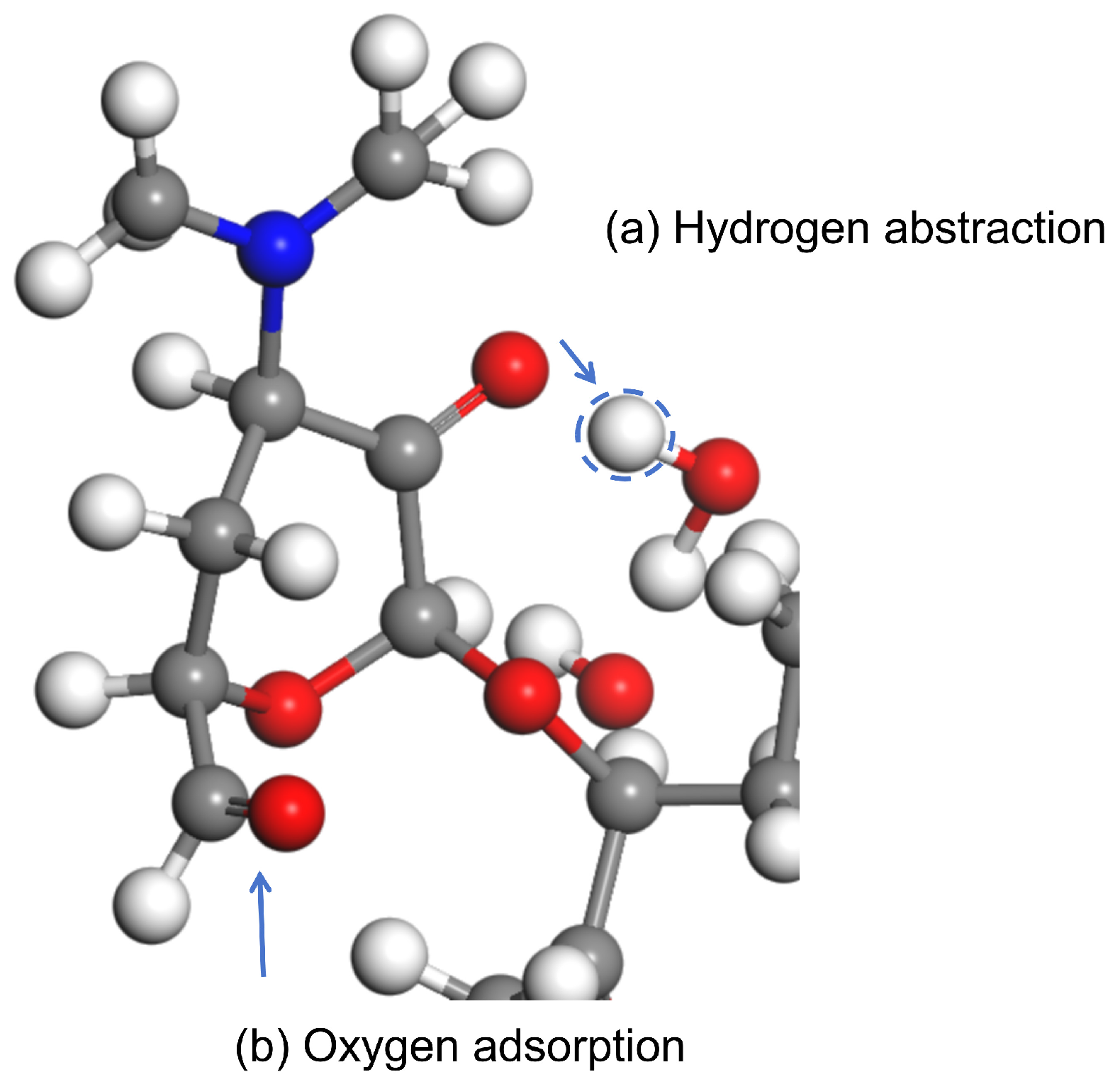 Molecules 30 00625 g006