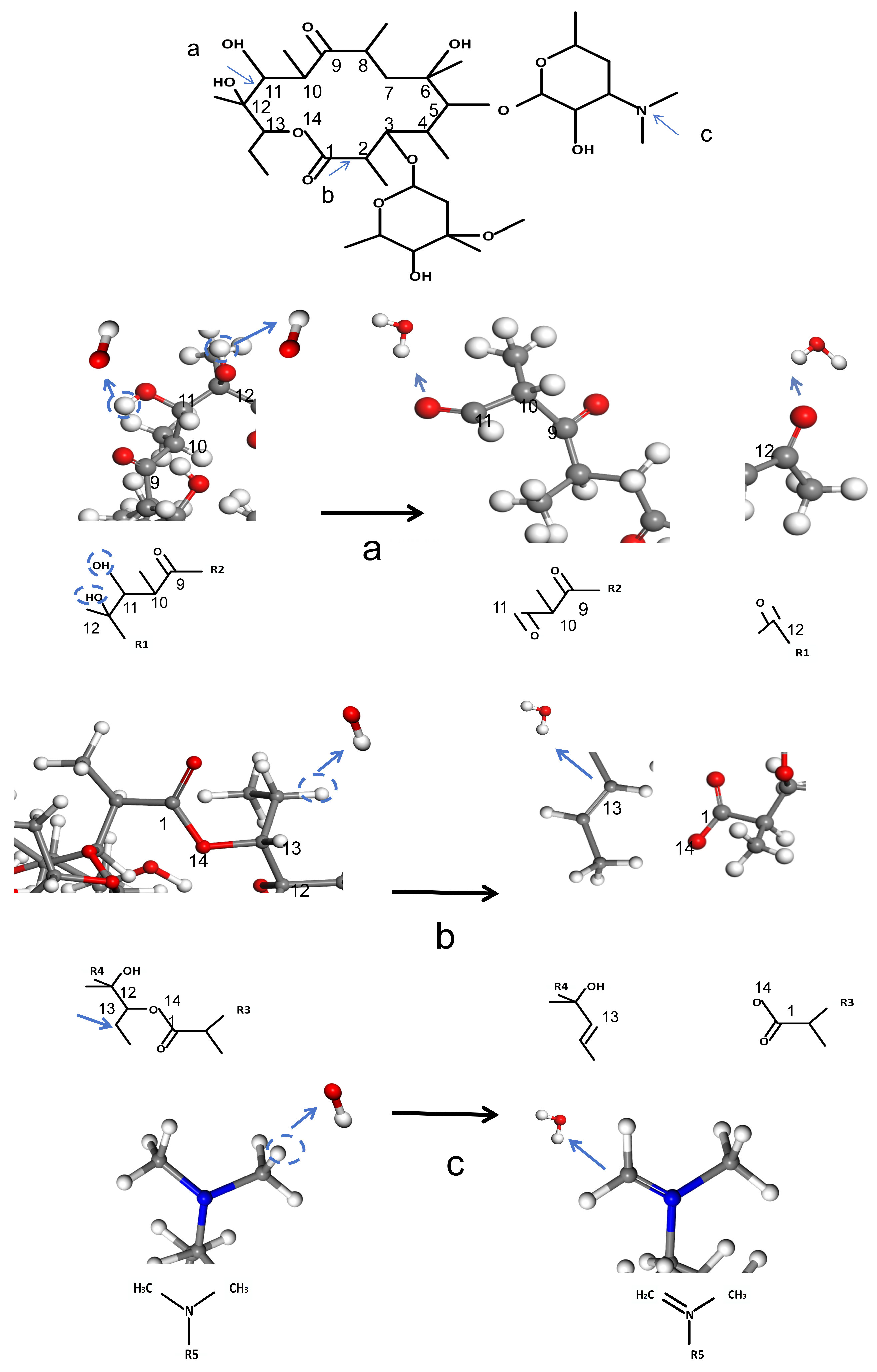Molecules 30 00625 g007