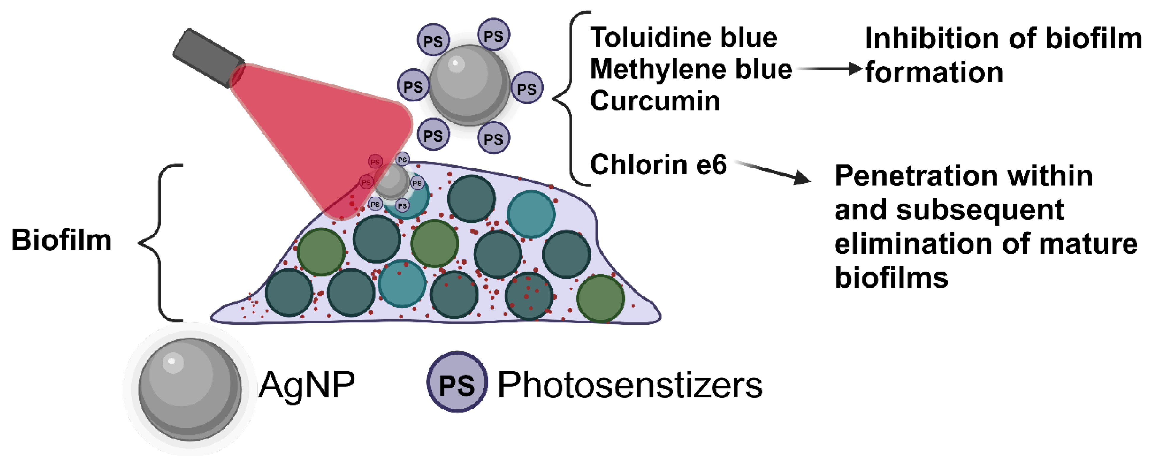 Molecules 30 00626 g003