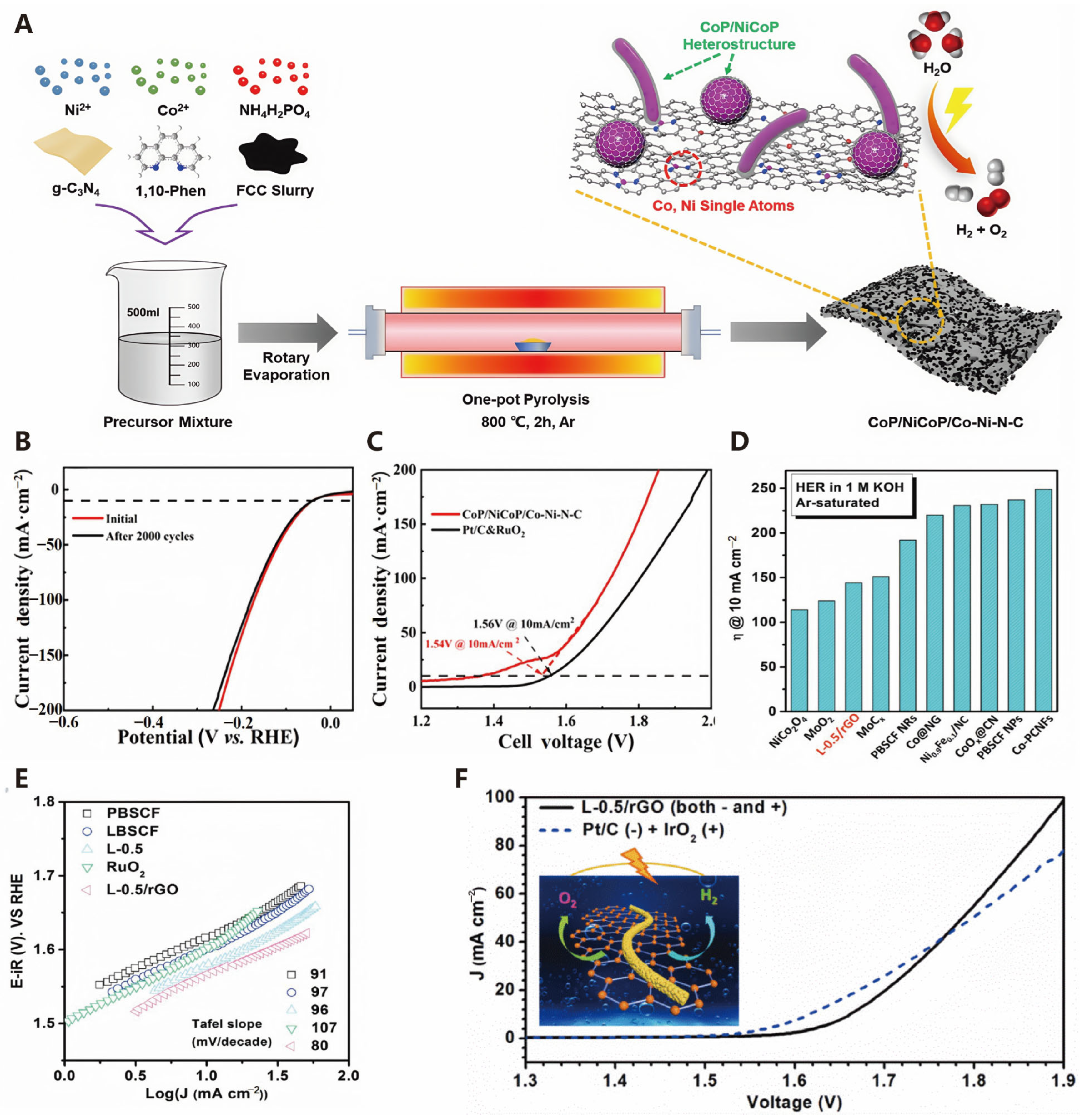 Molecules 30 00630 g009