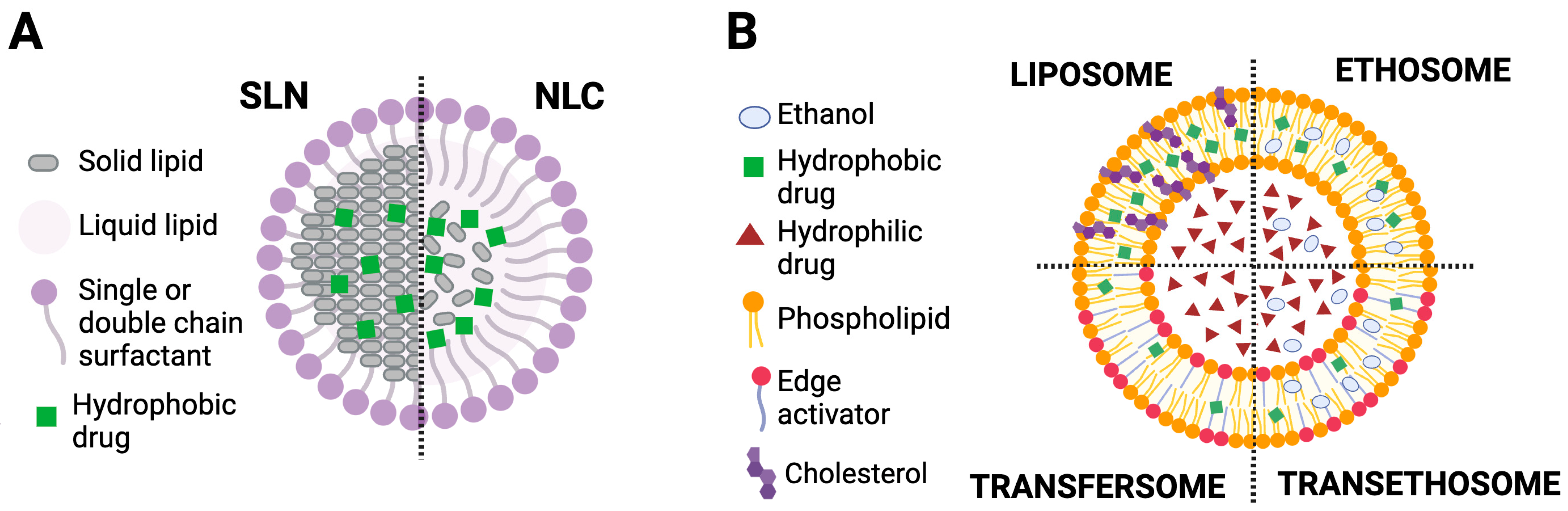 Molecules 30 00641 g001
