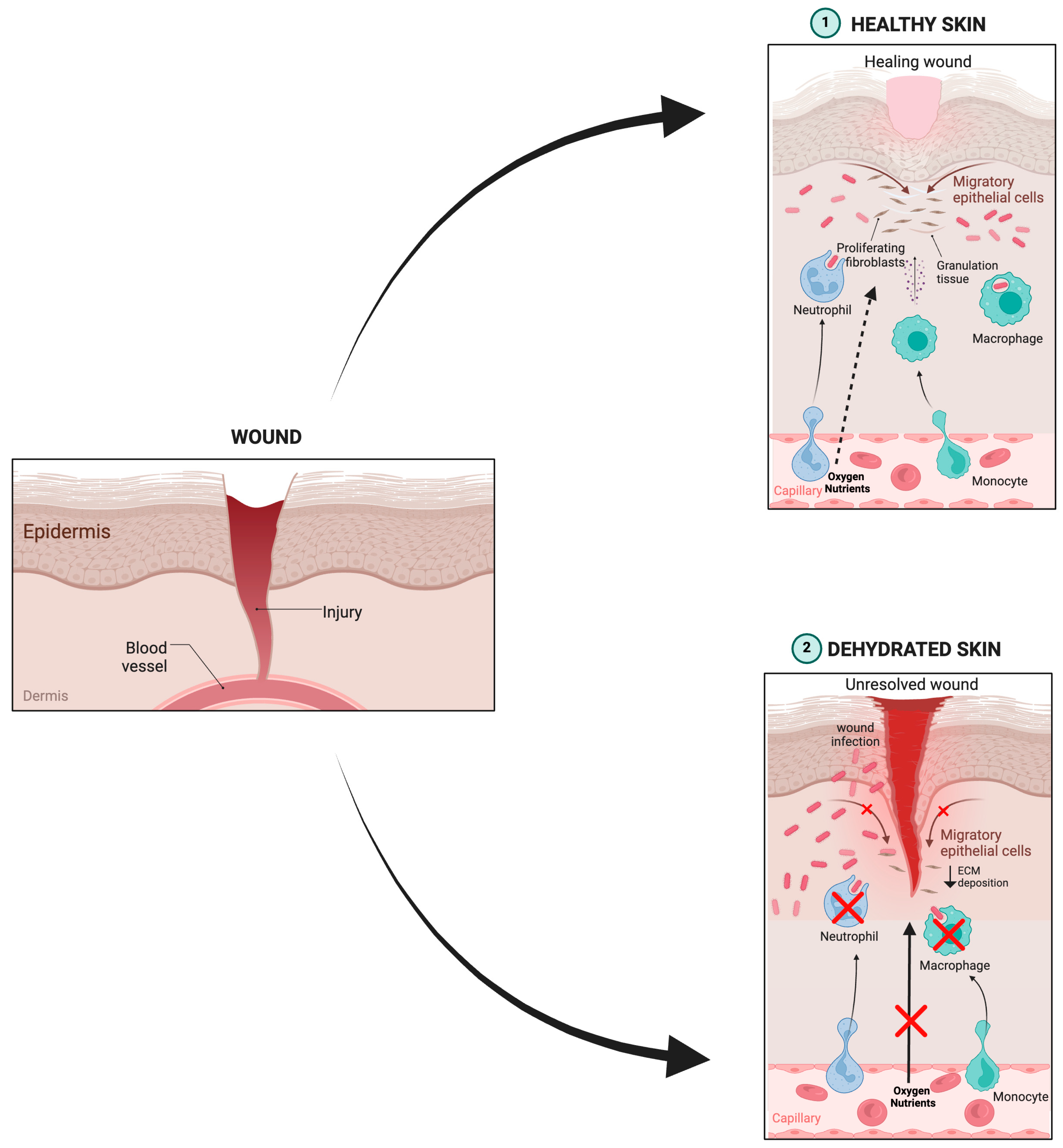 Molecules 30 00641 g006