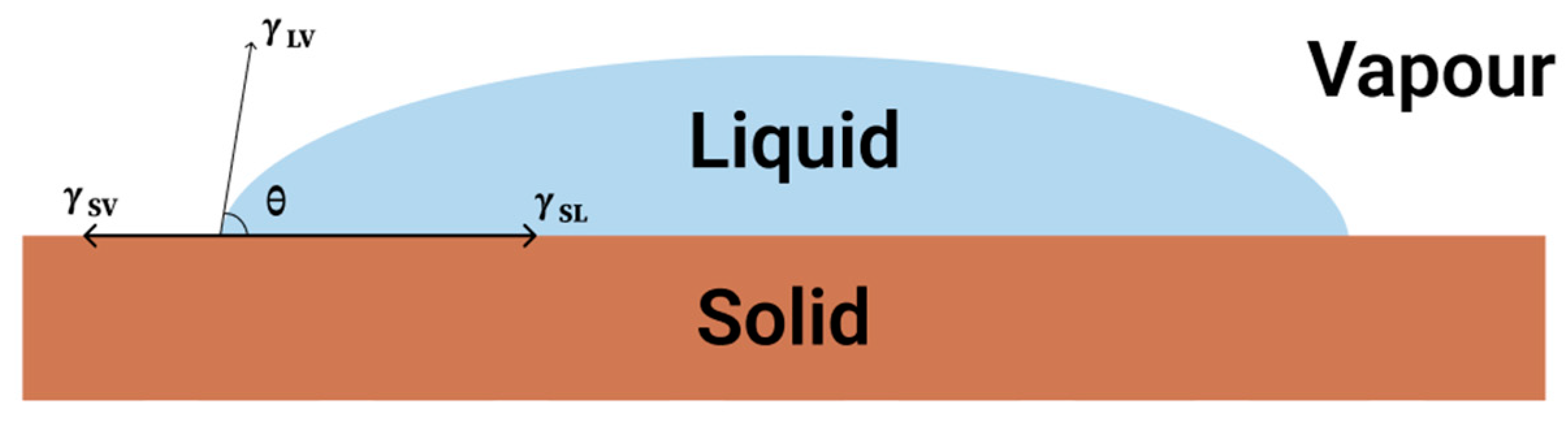 Molecules 30 00644 g001