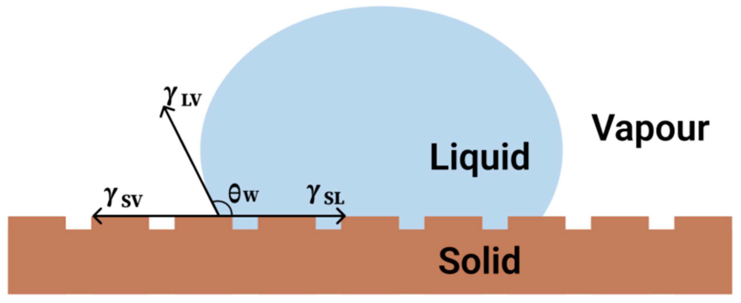 Molecules 30 00644 g002