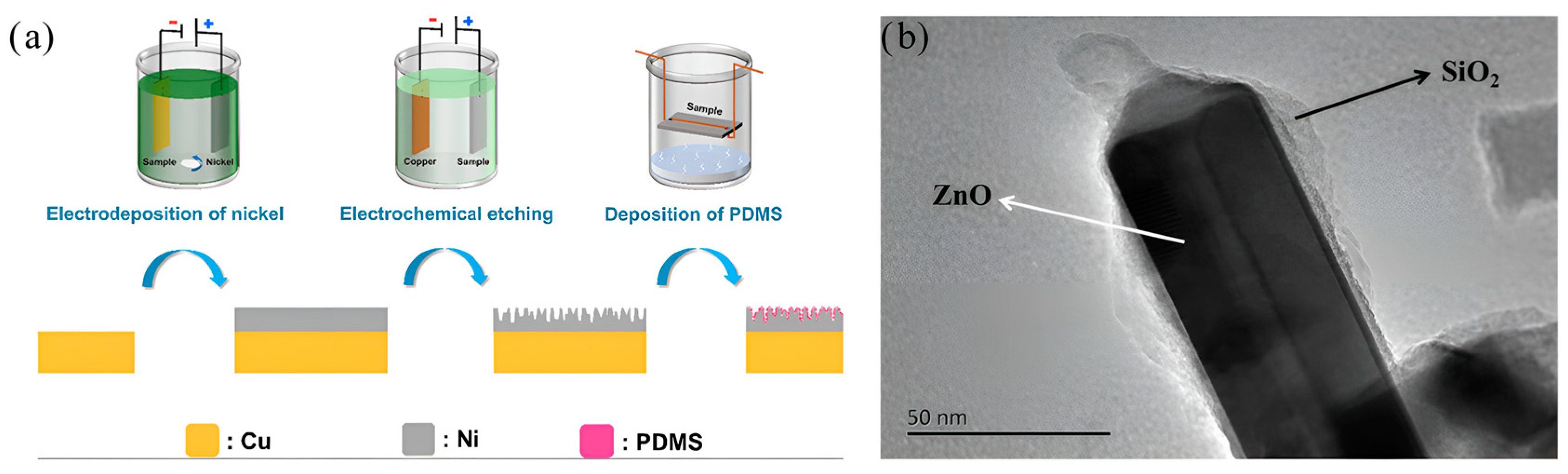 Molecules 30 00644 g011
