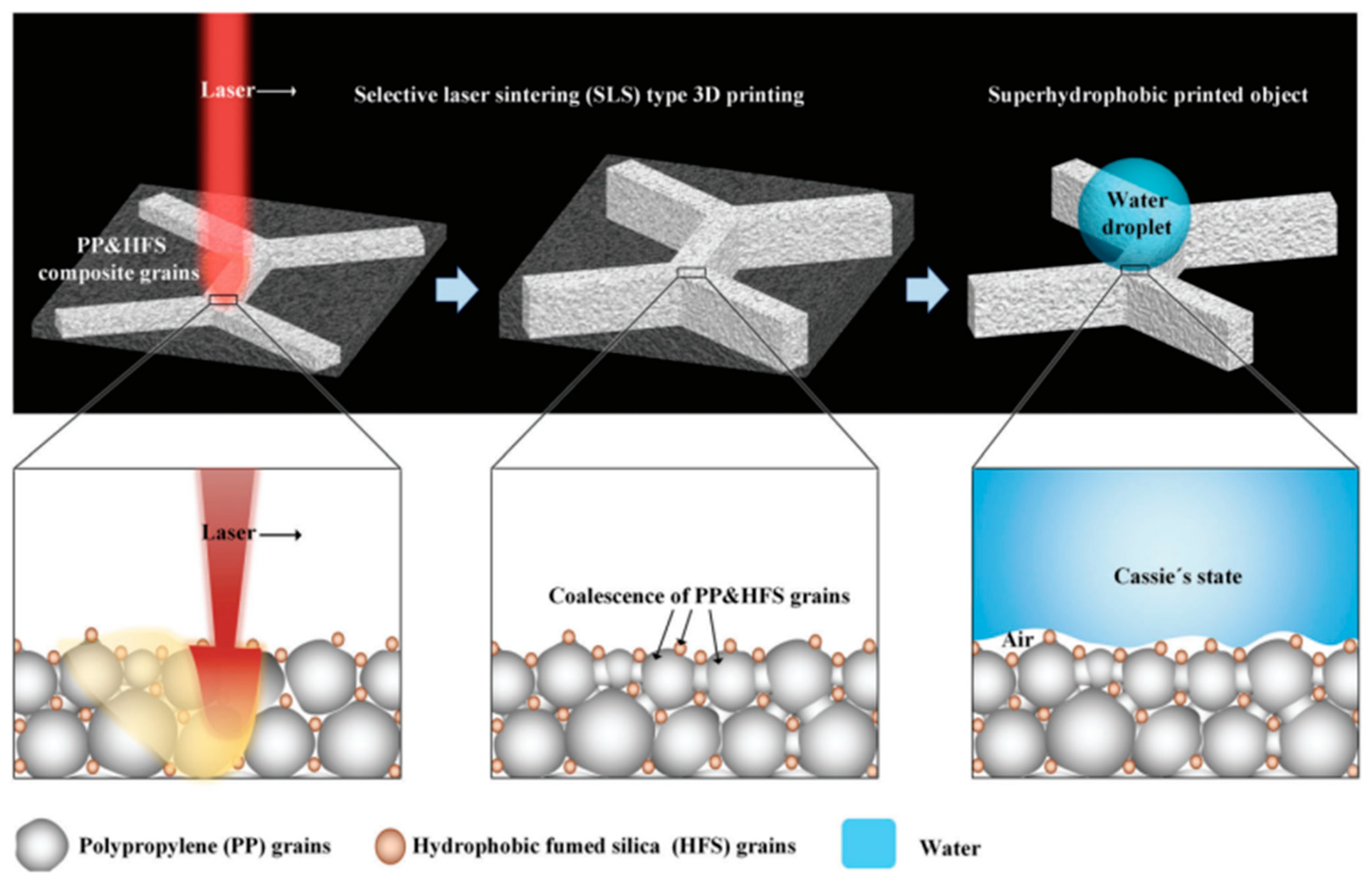 Molecules 30 00644 g012