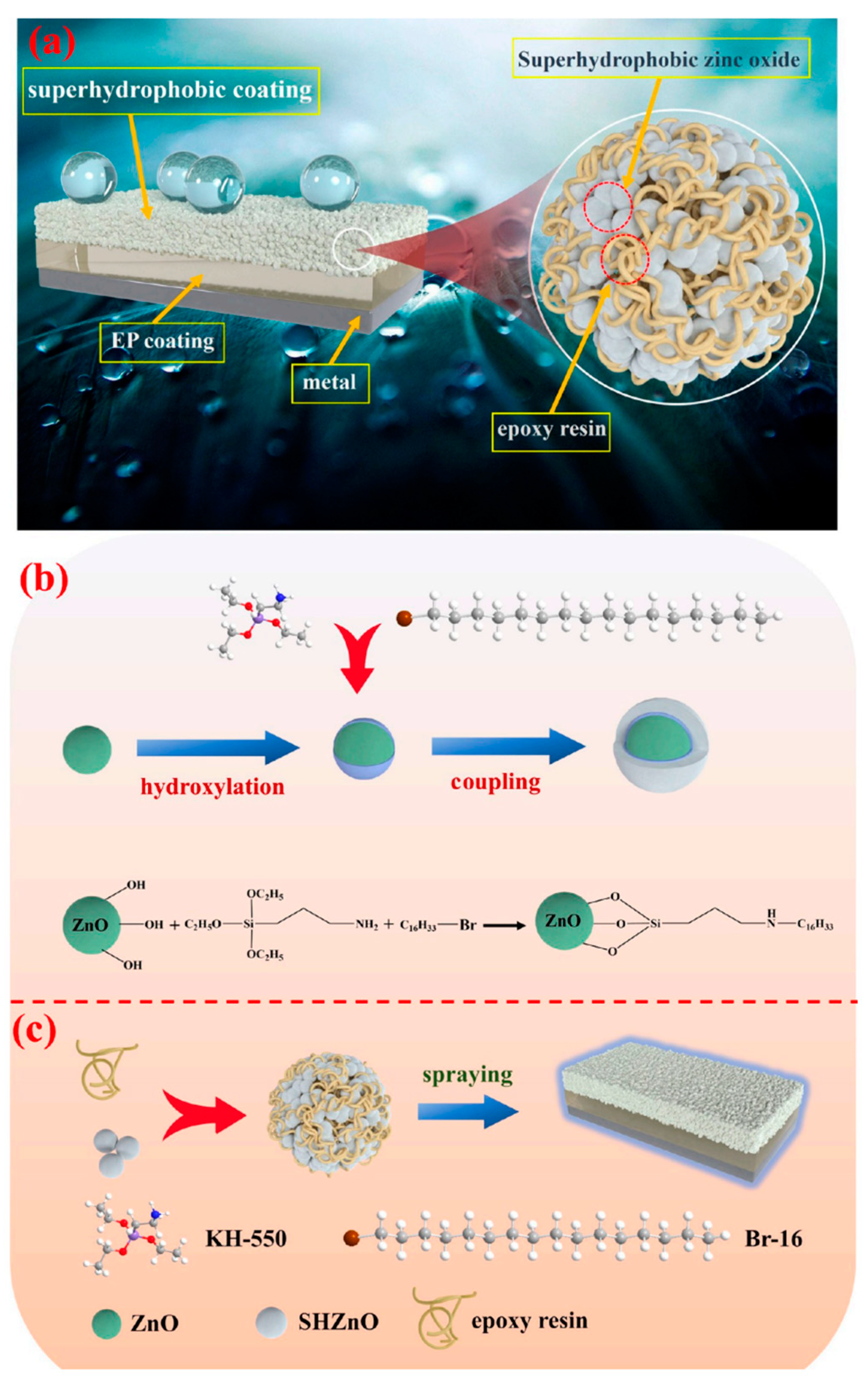 Molecules 30 00644 g016