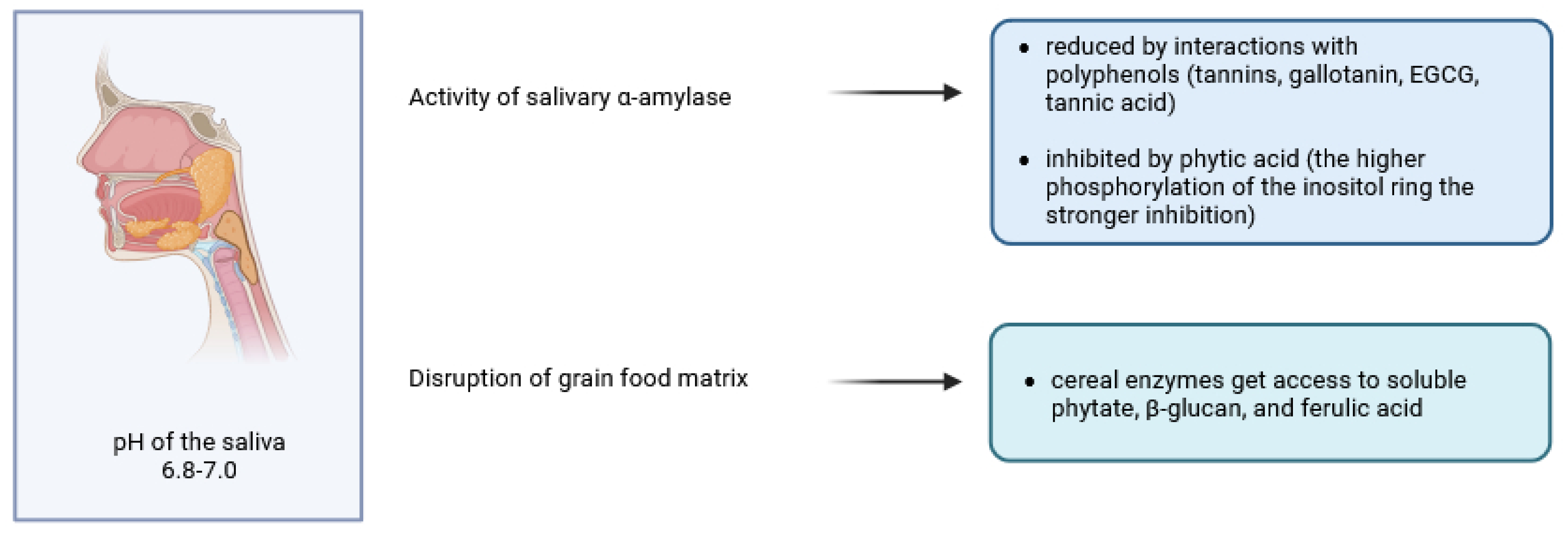Molecules 30 00652 g001