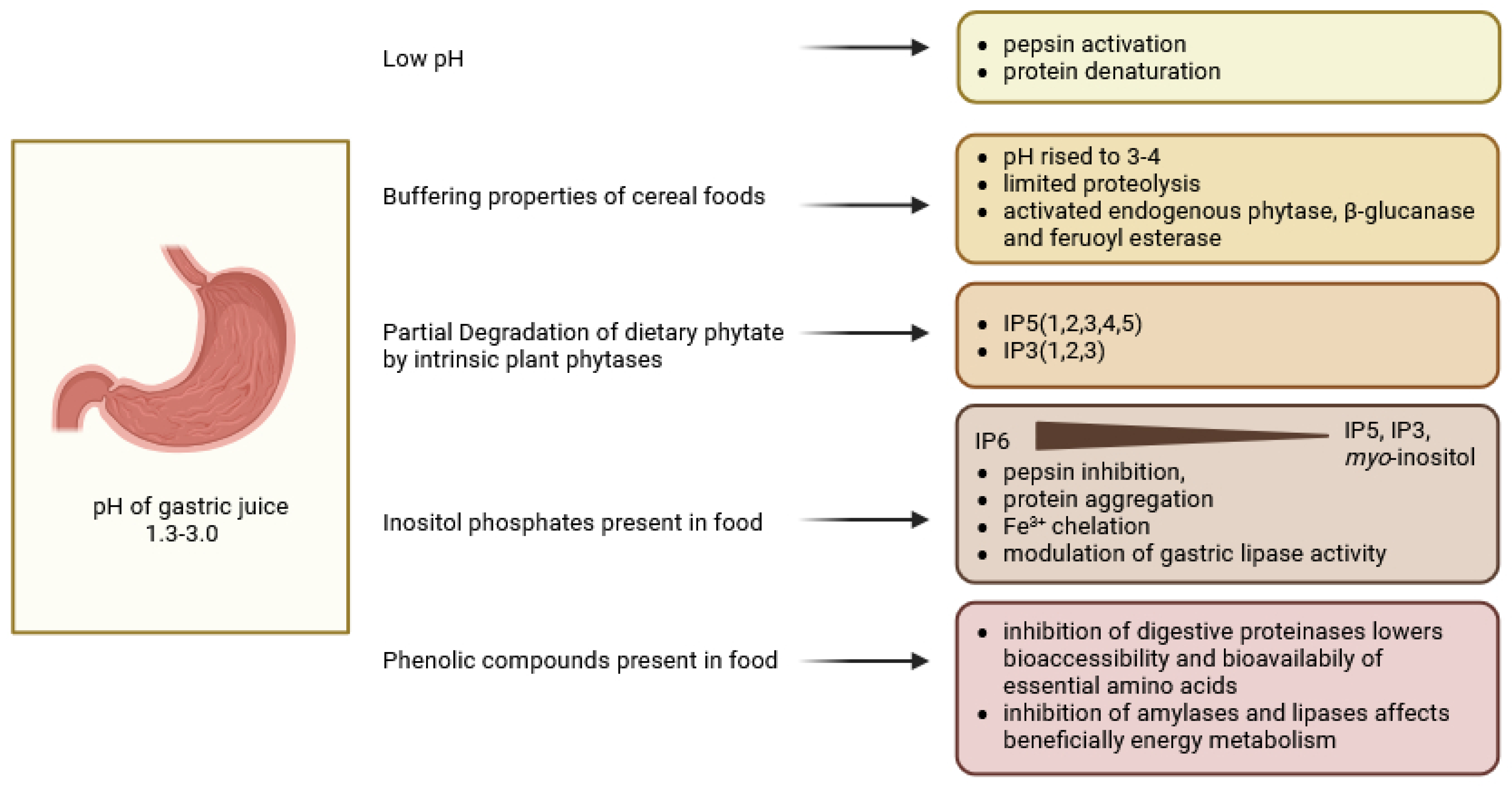 Molecules 30 00652 g002