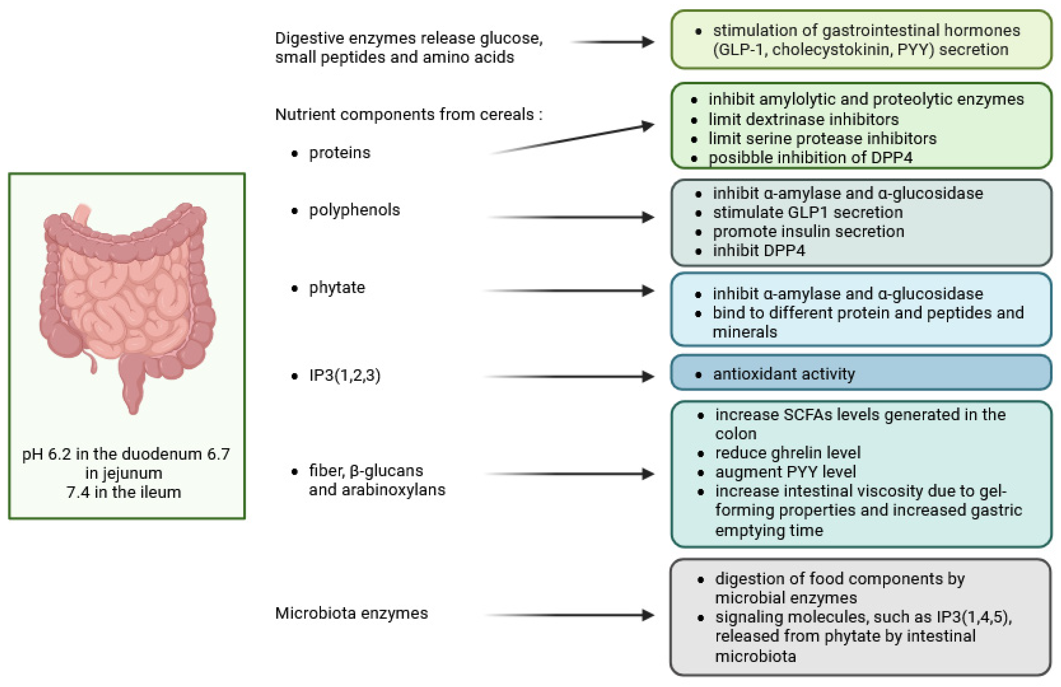 Molecules 30 00652 g003