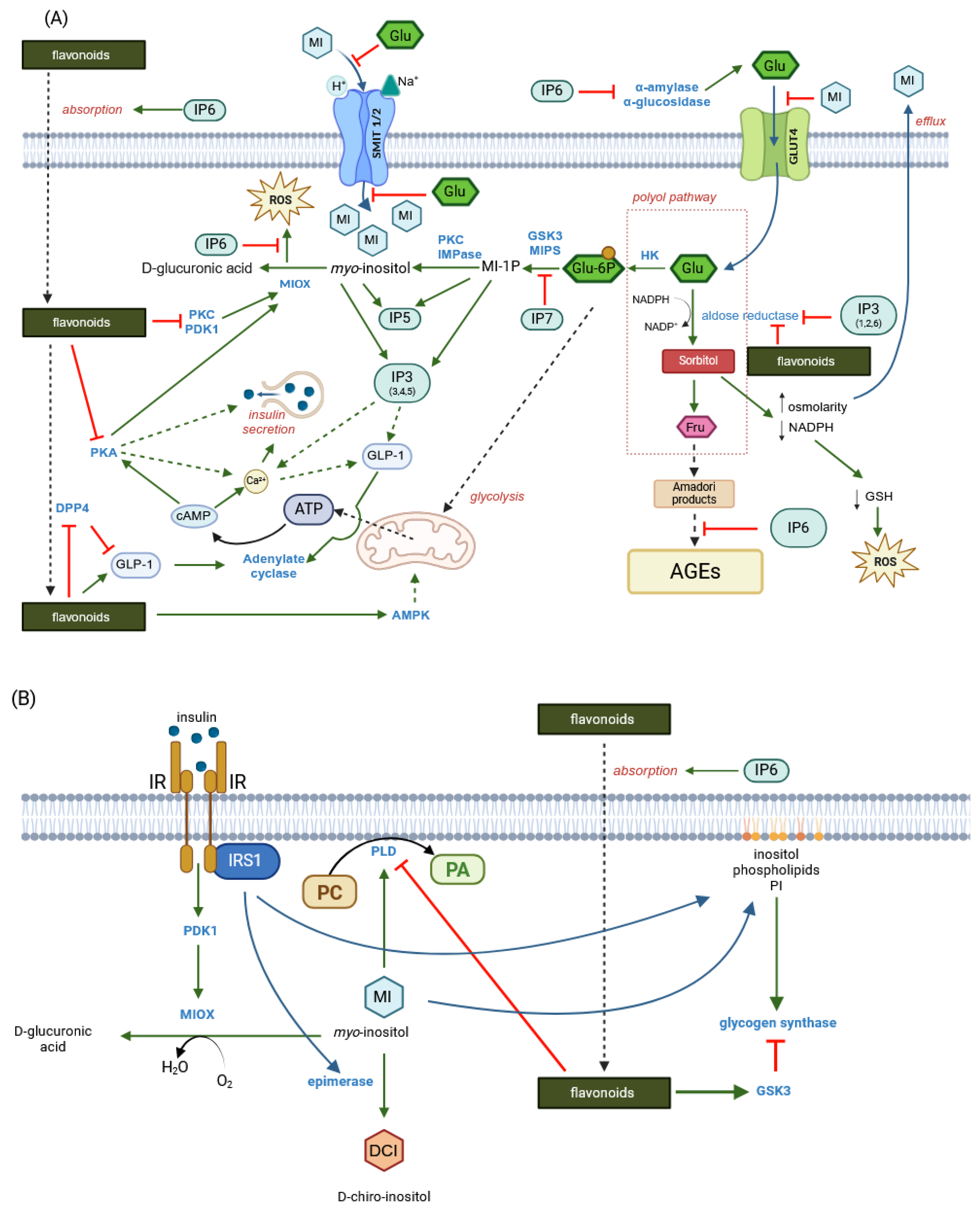 Molecules 30 00652 g004