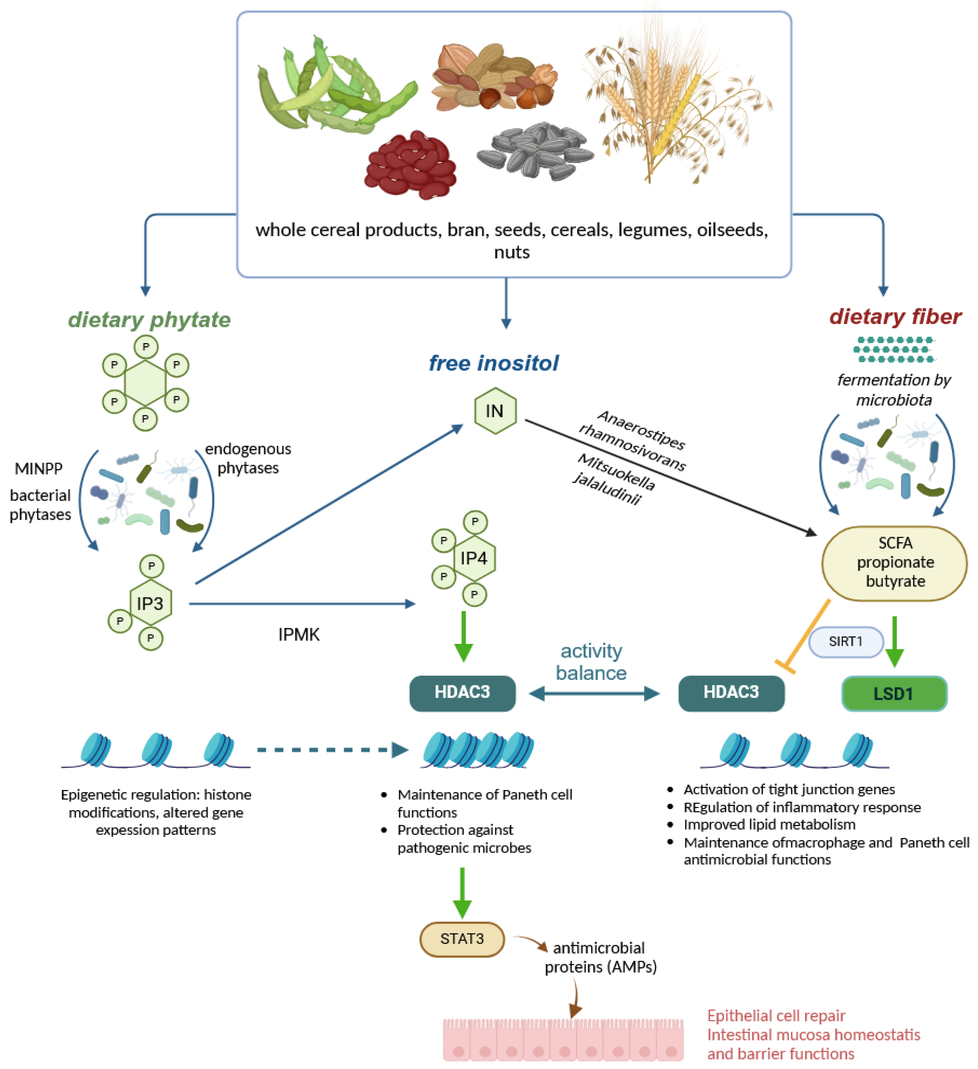 Molecules 30 00652 g005