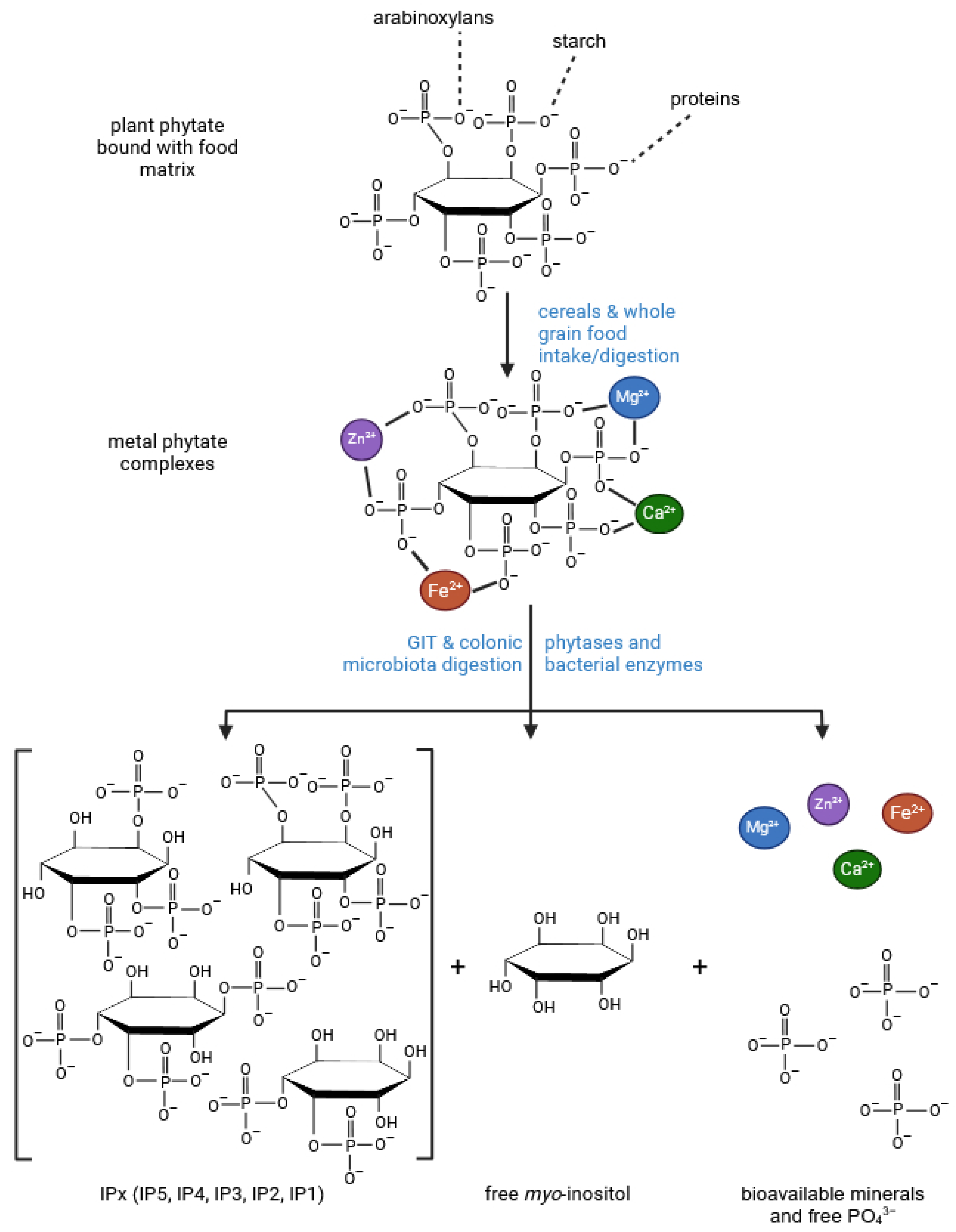 Molecules 30 00652 g006