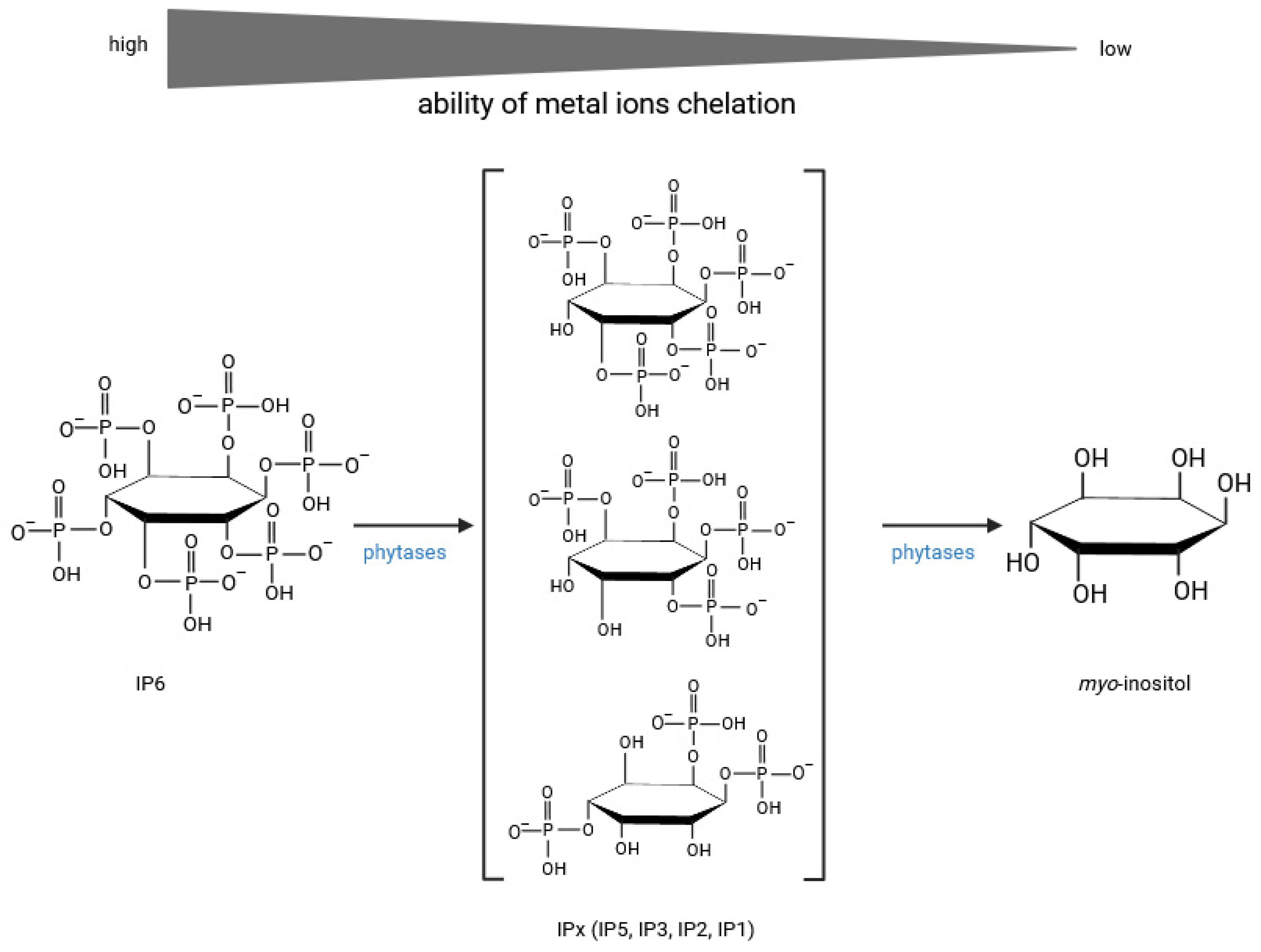Molecules 30 00652 g008