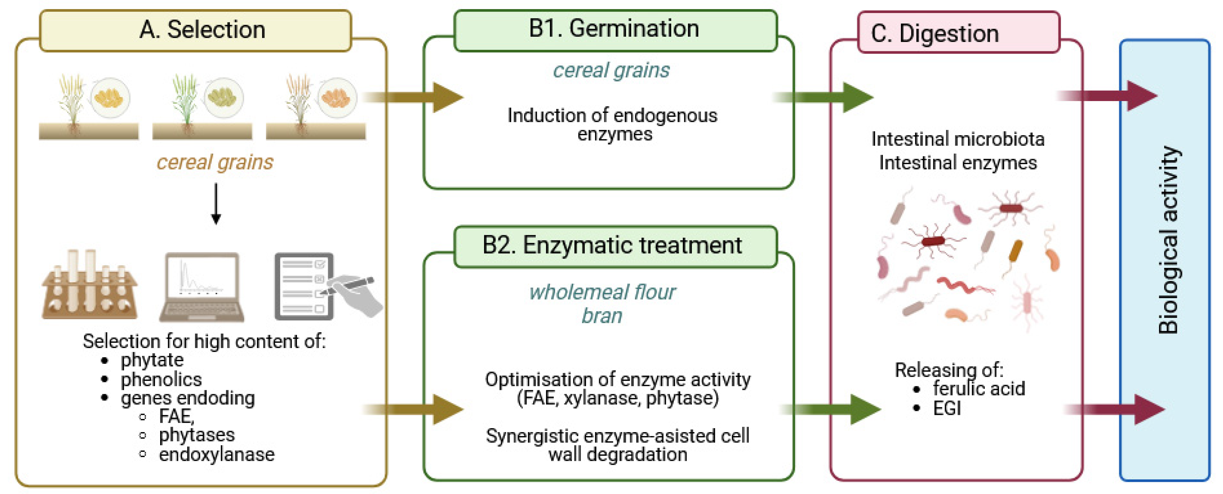 Molecules 30 00652 g009