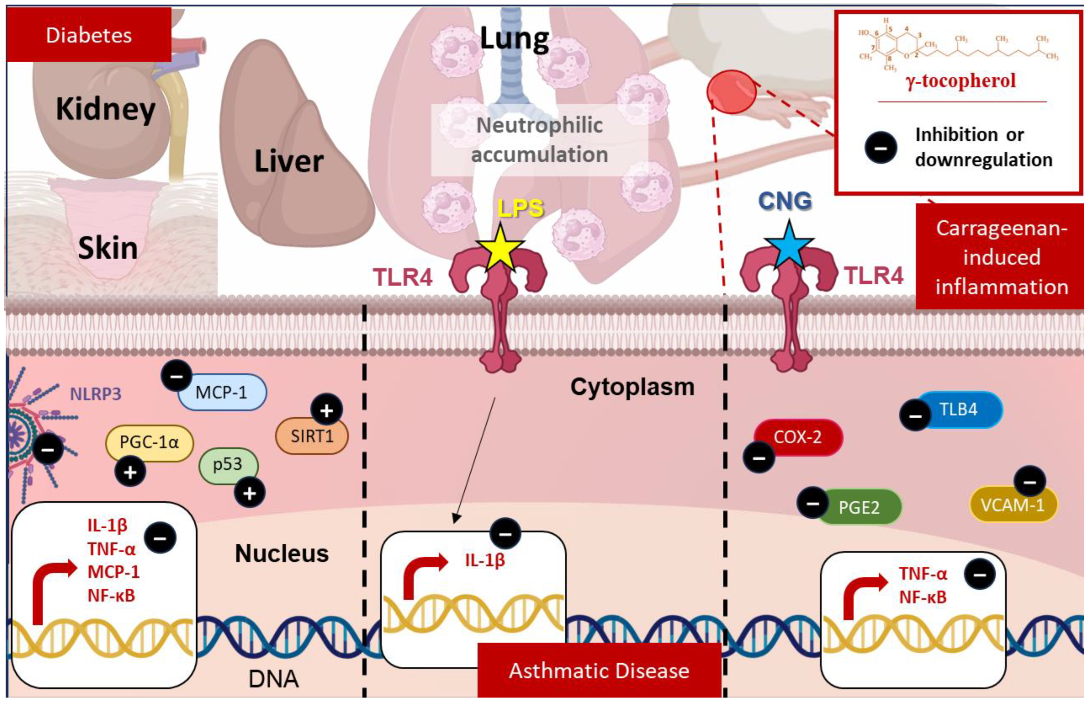Molecules 30 00653 g003