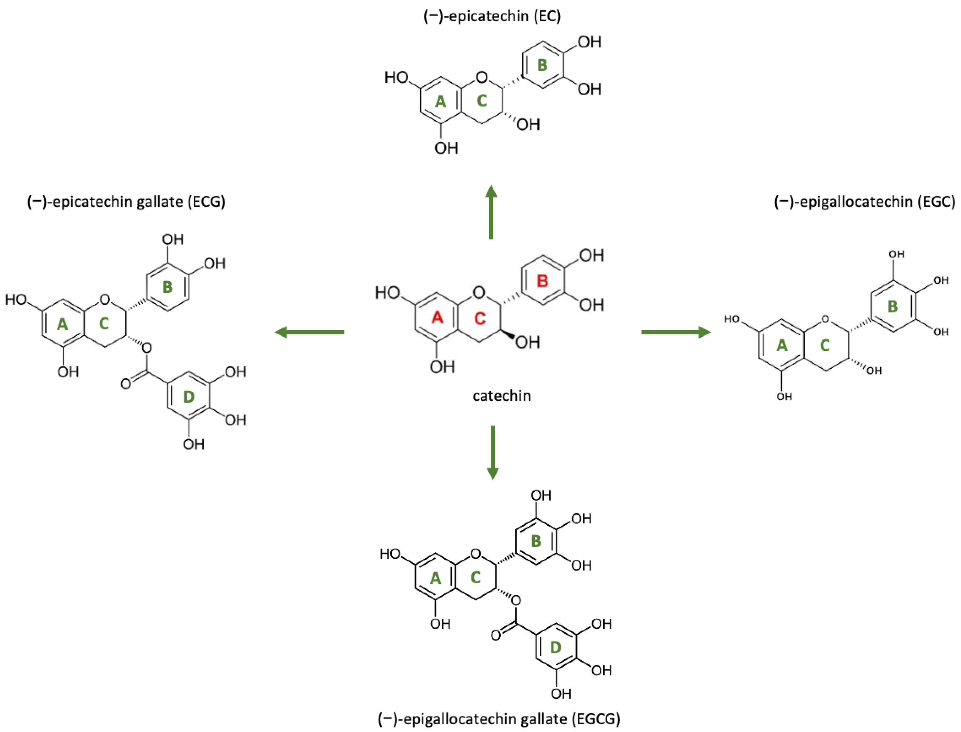 Molecules 30 00654 g001