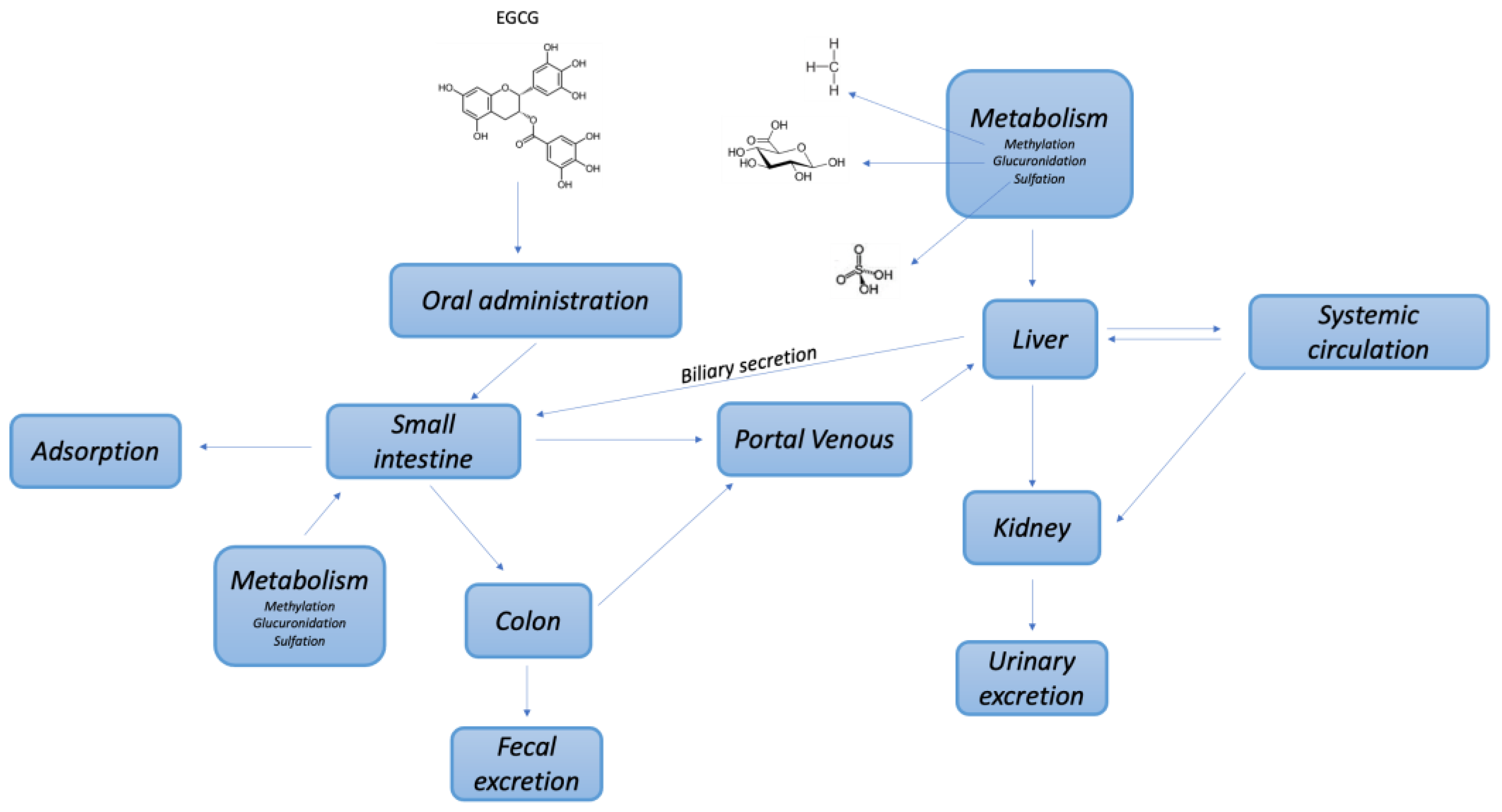 Molecules 30 00654 g002