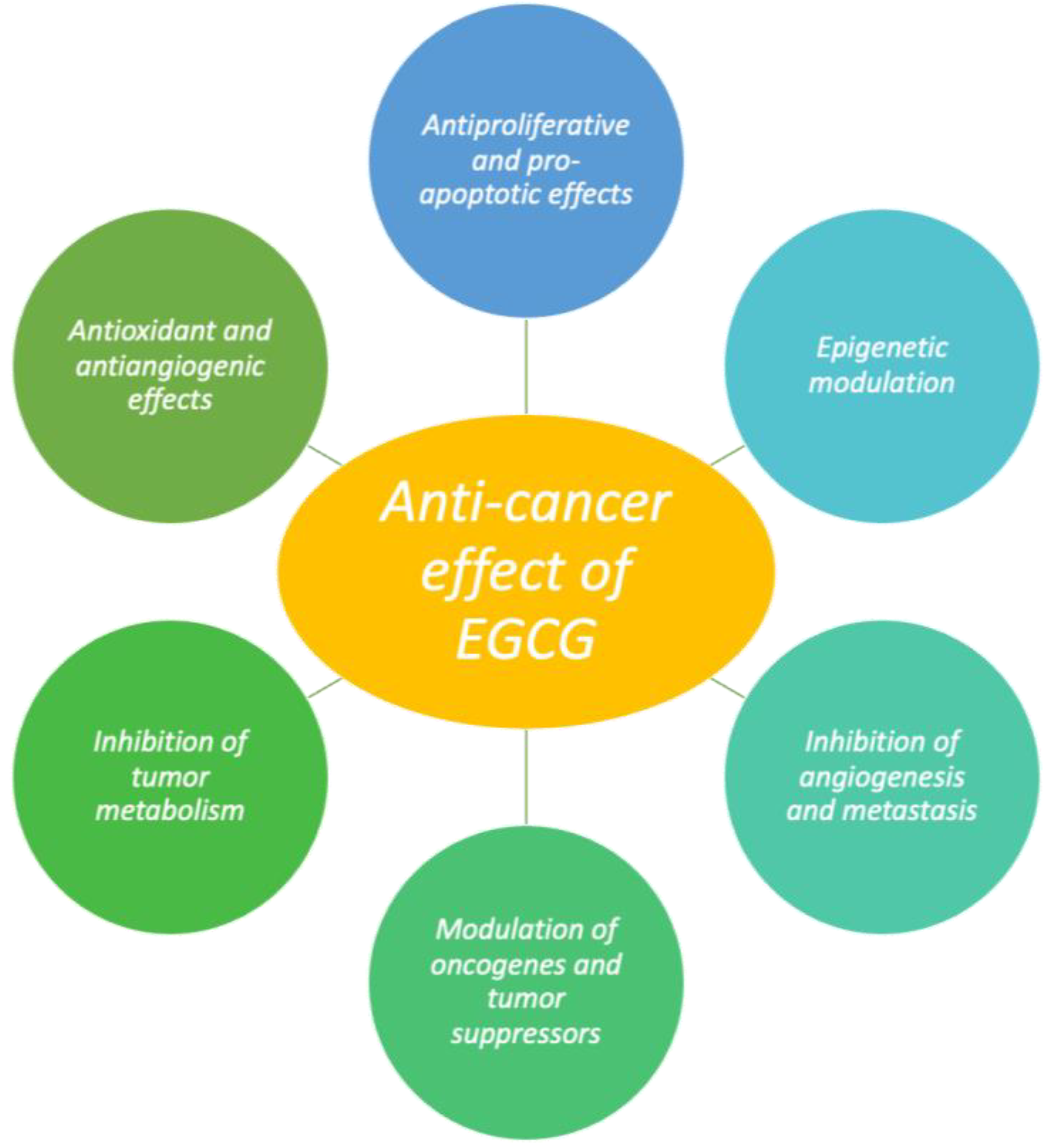 Molecules 30 00654 g004
