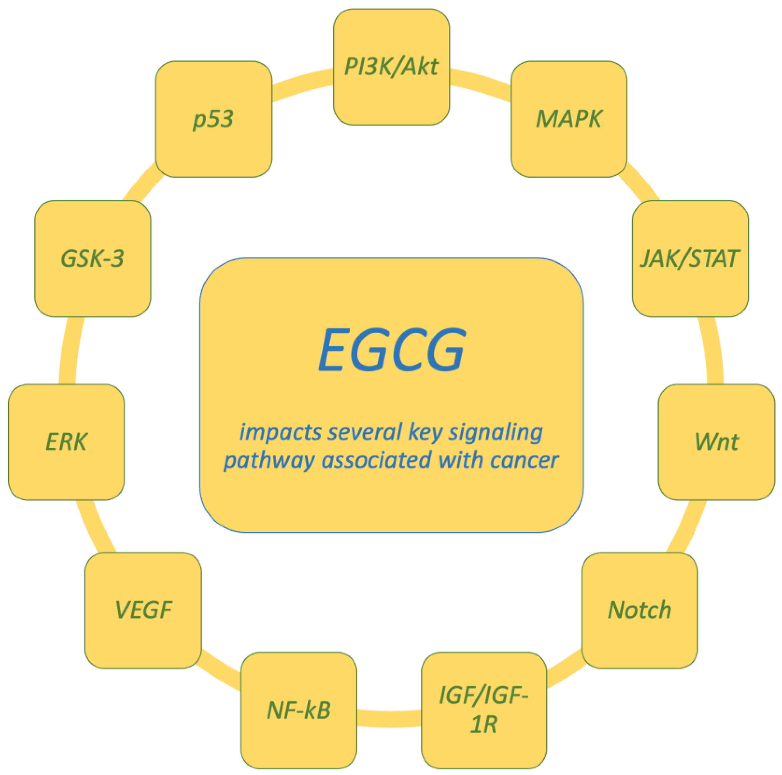 Molecules 30 00654 g005