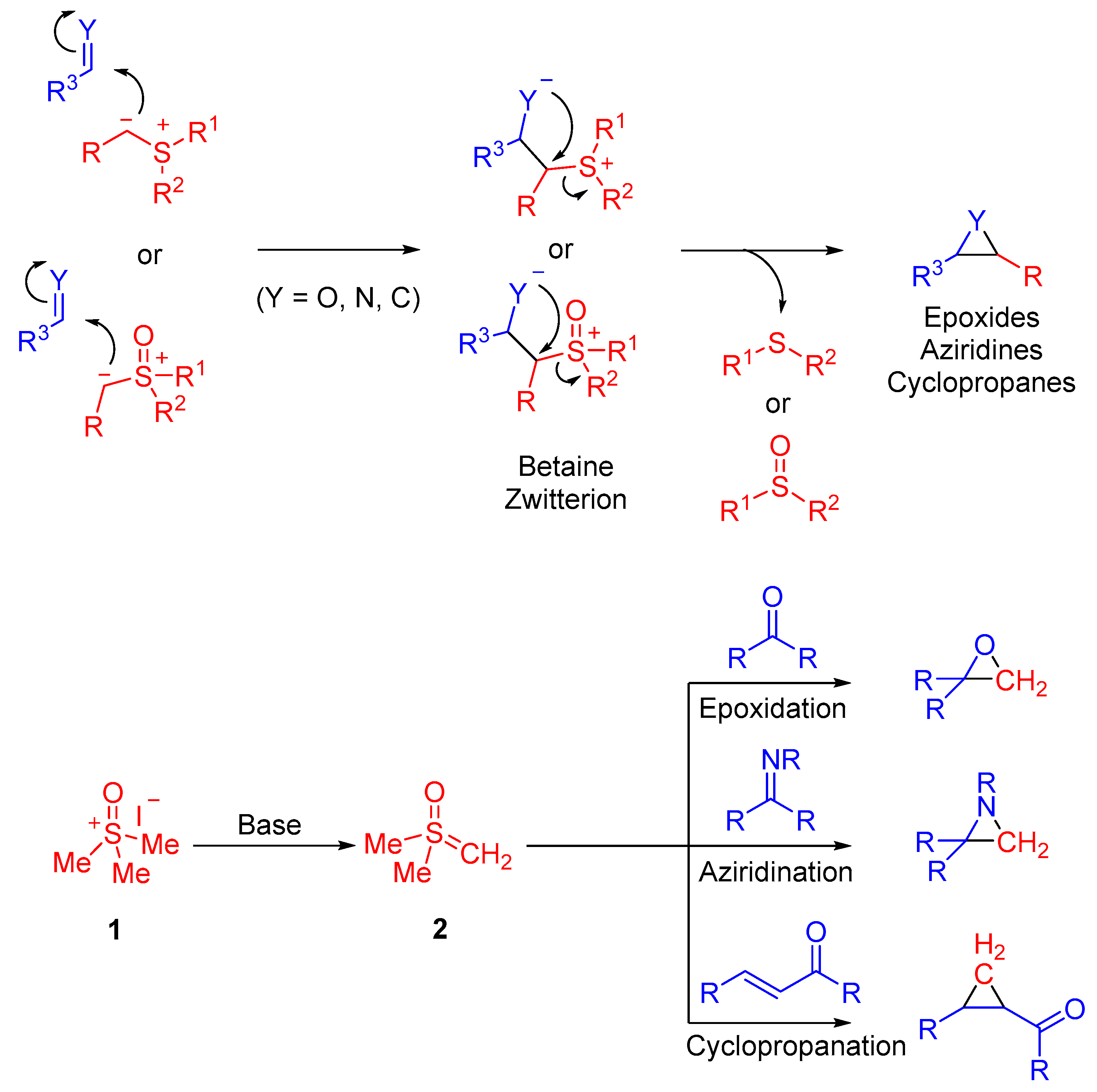 Molecules 30 00655 sch001
