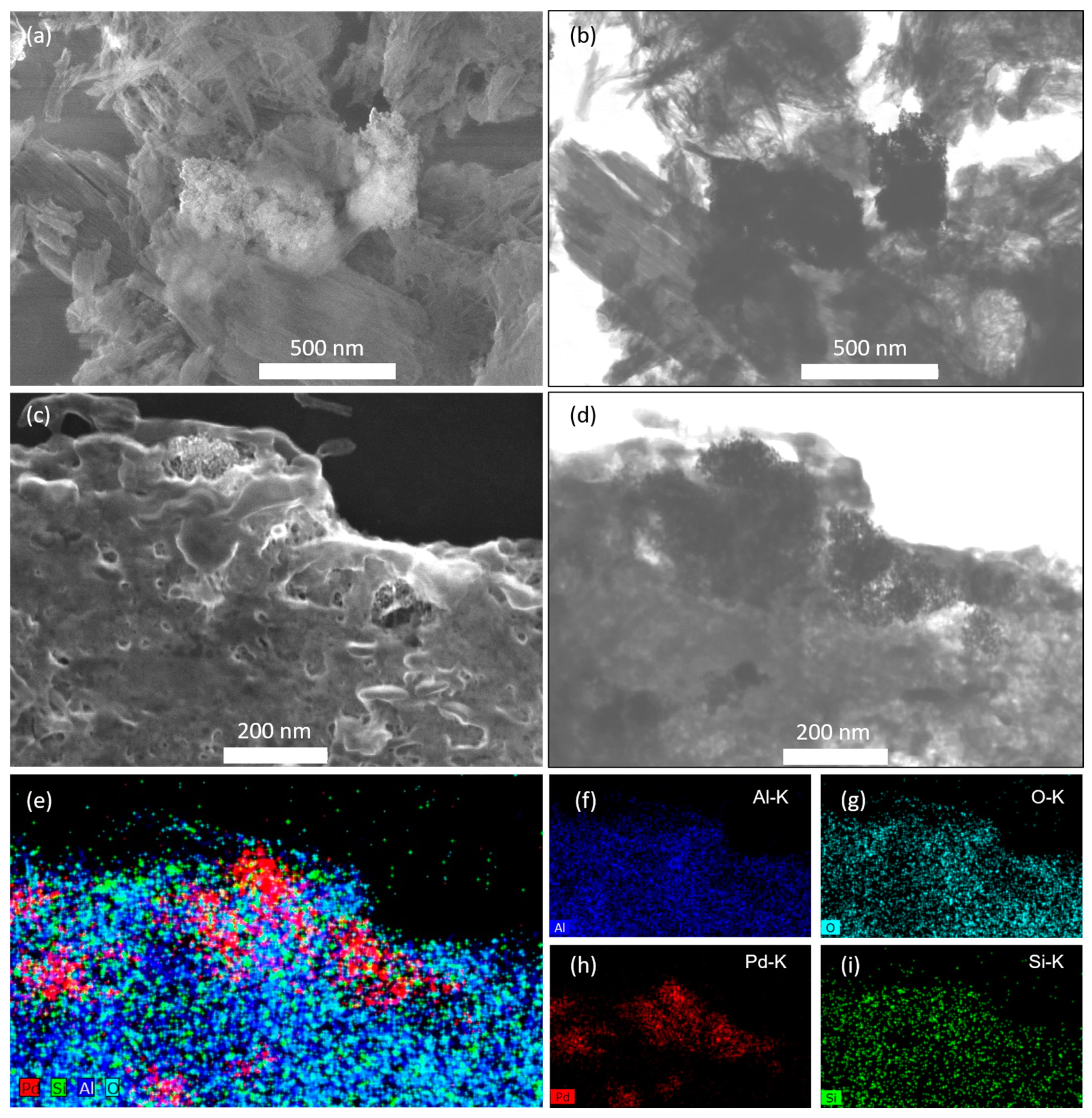Molecules 30 00656 g009